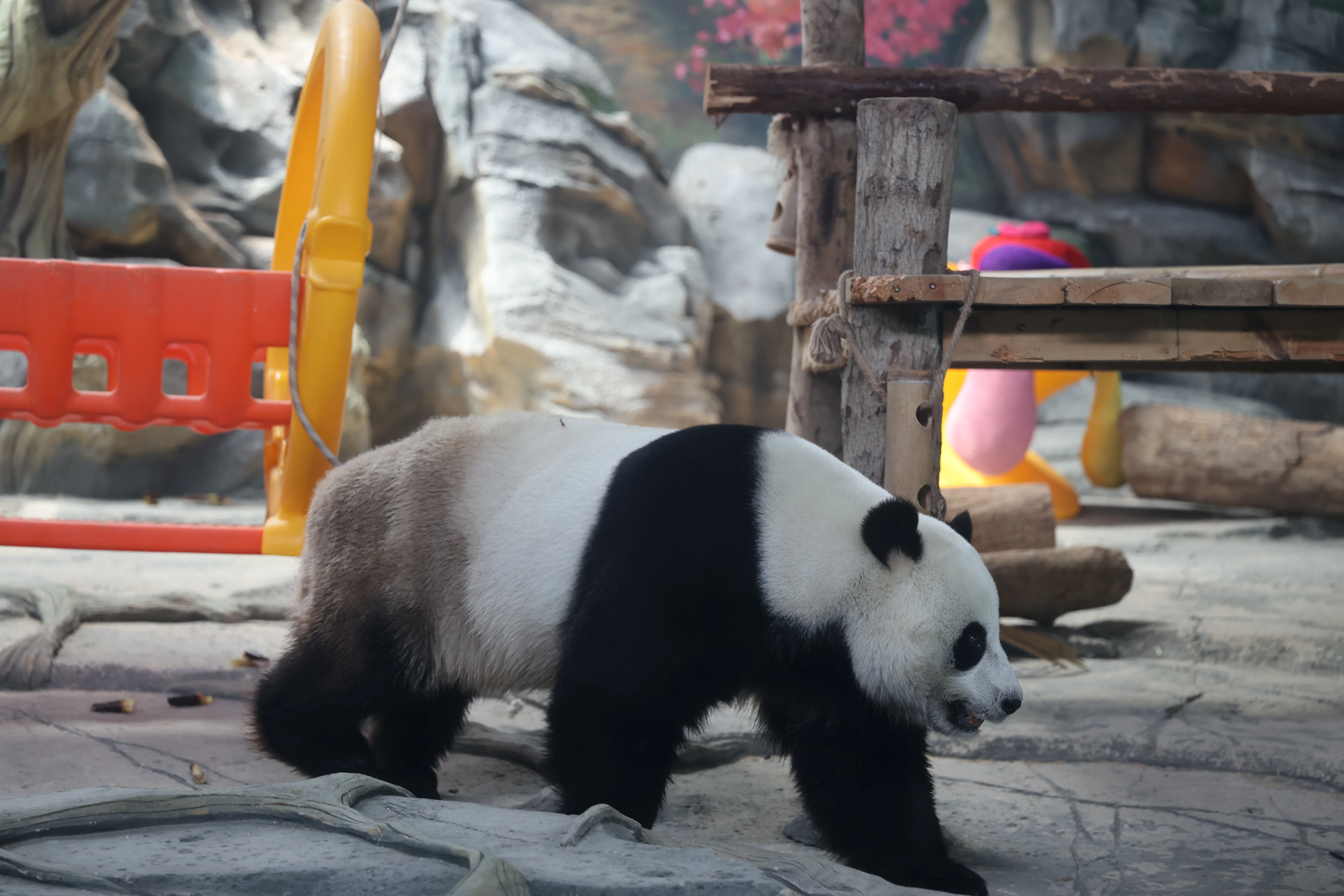 Wuhan Zoo