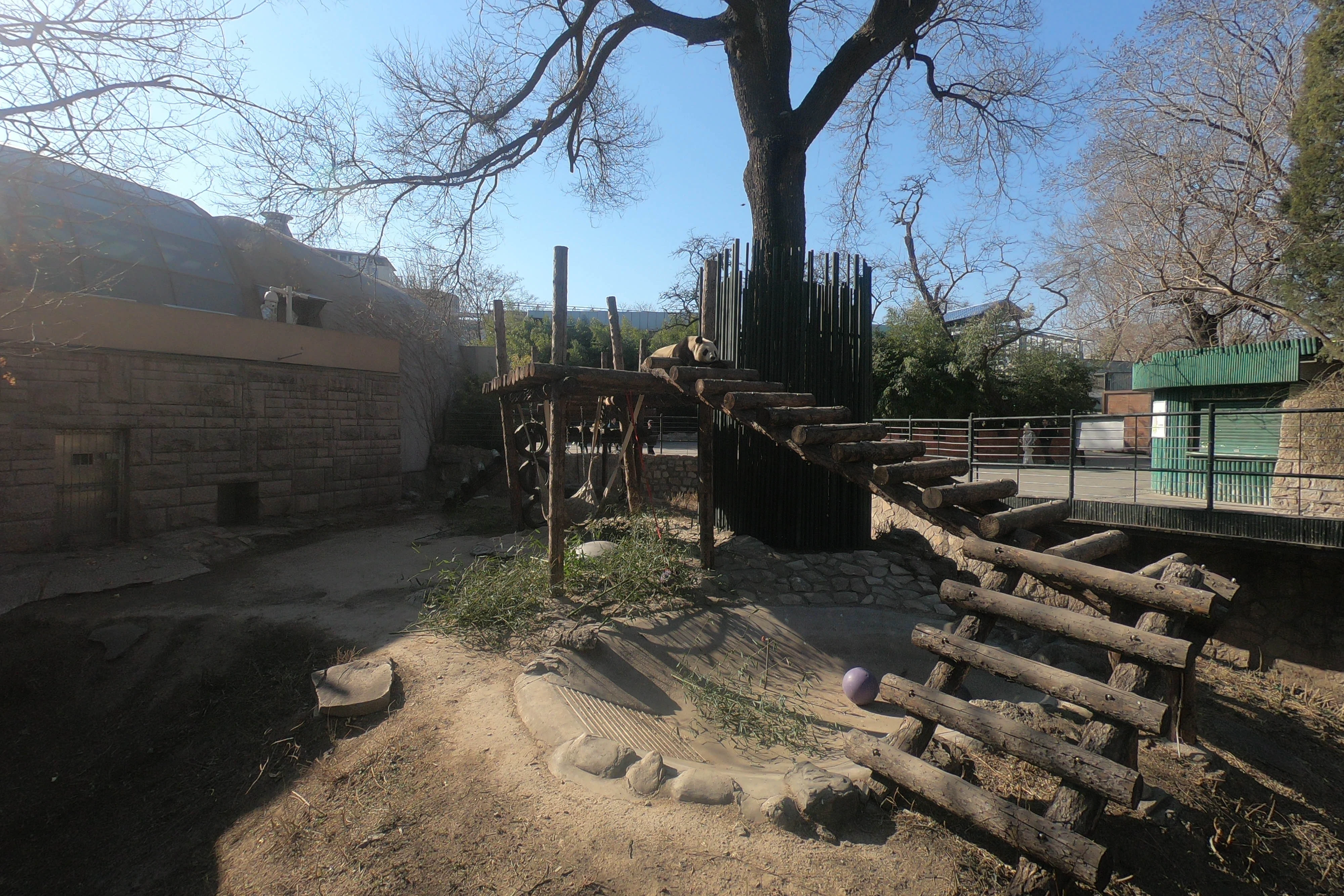 Beijing Zoo