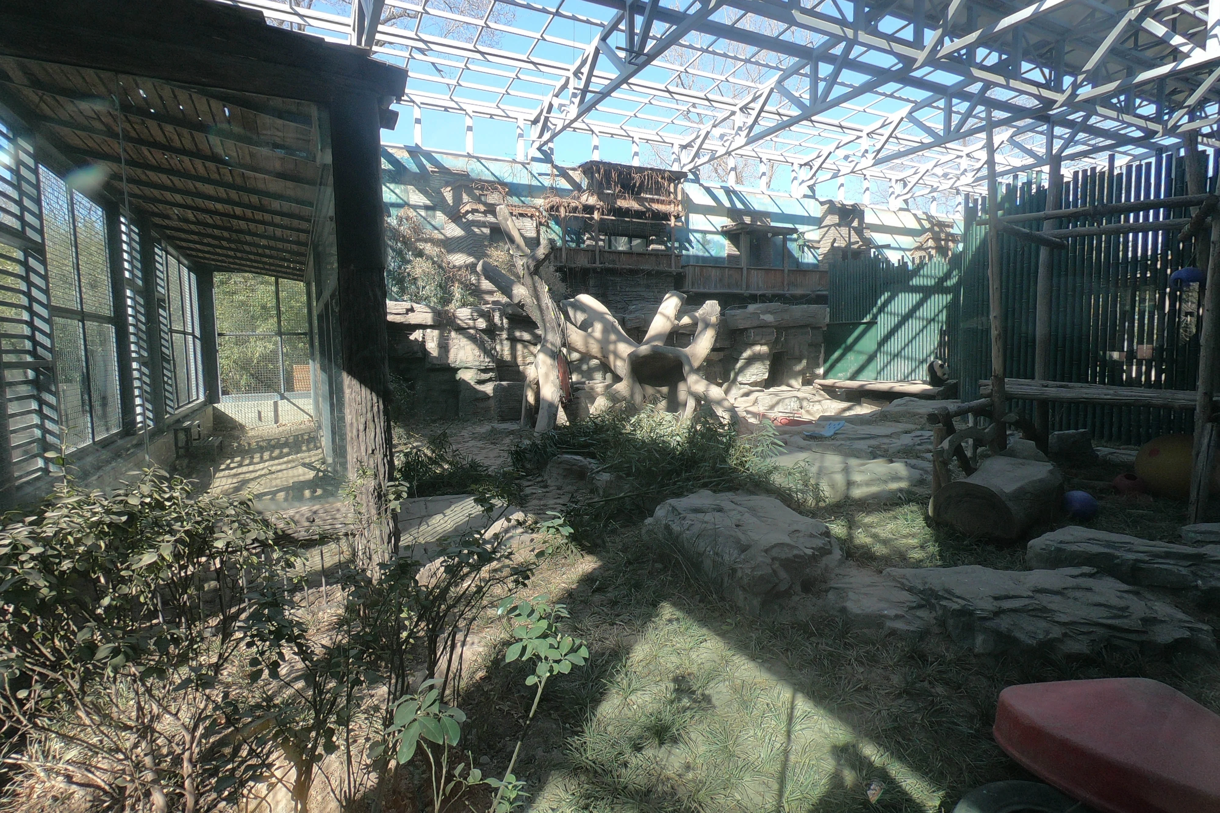 Beijing Zoo