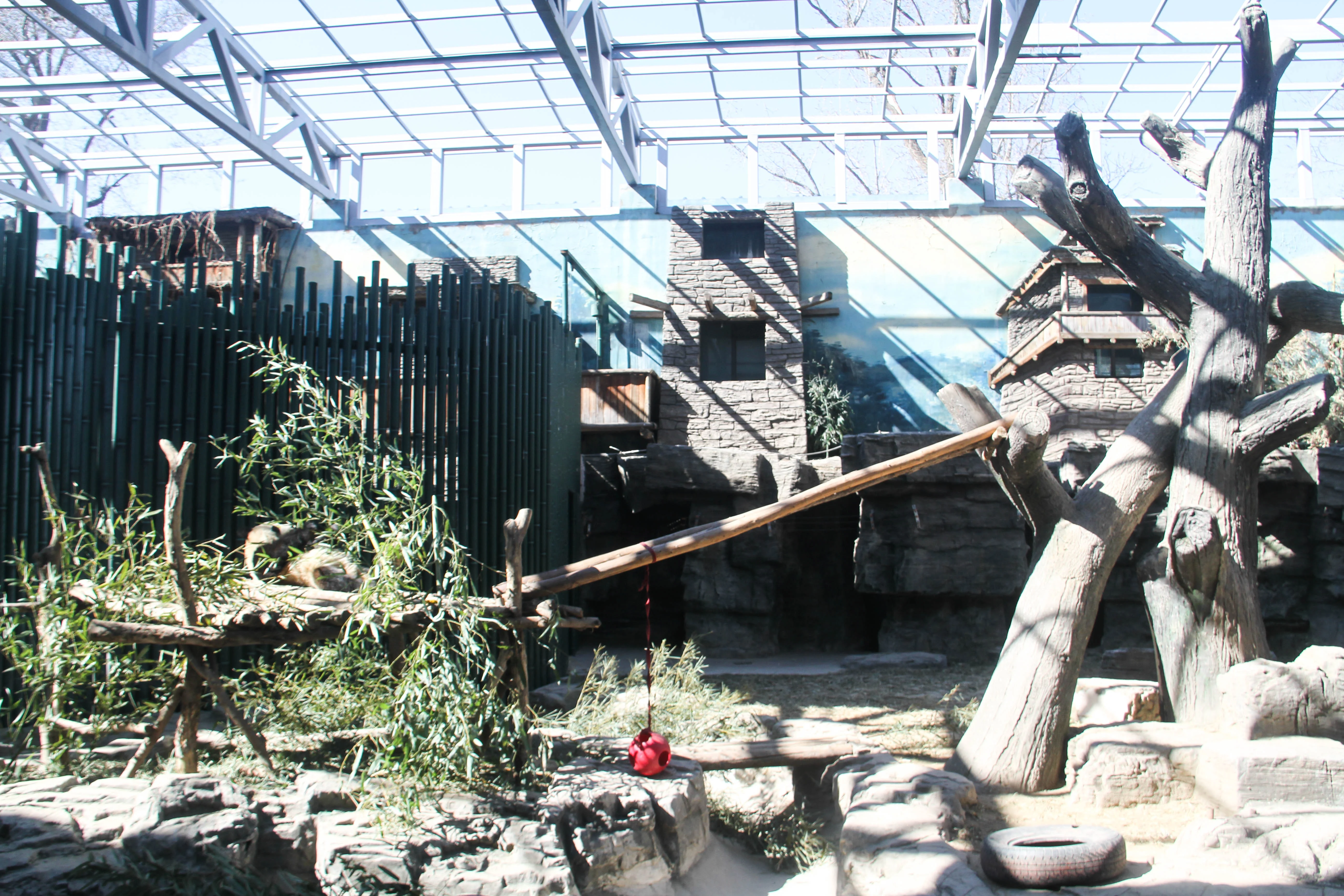 Beijing Zoo