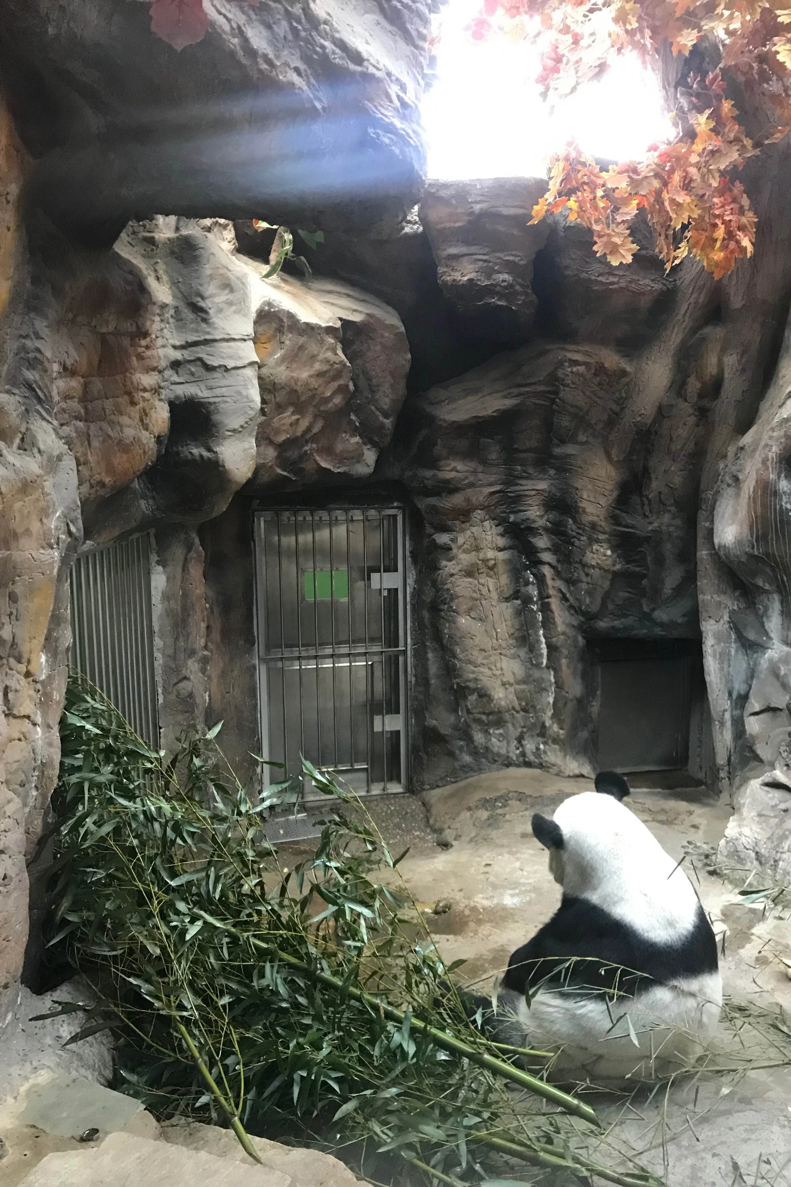 Beijing Zoo