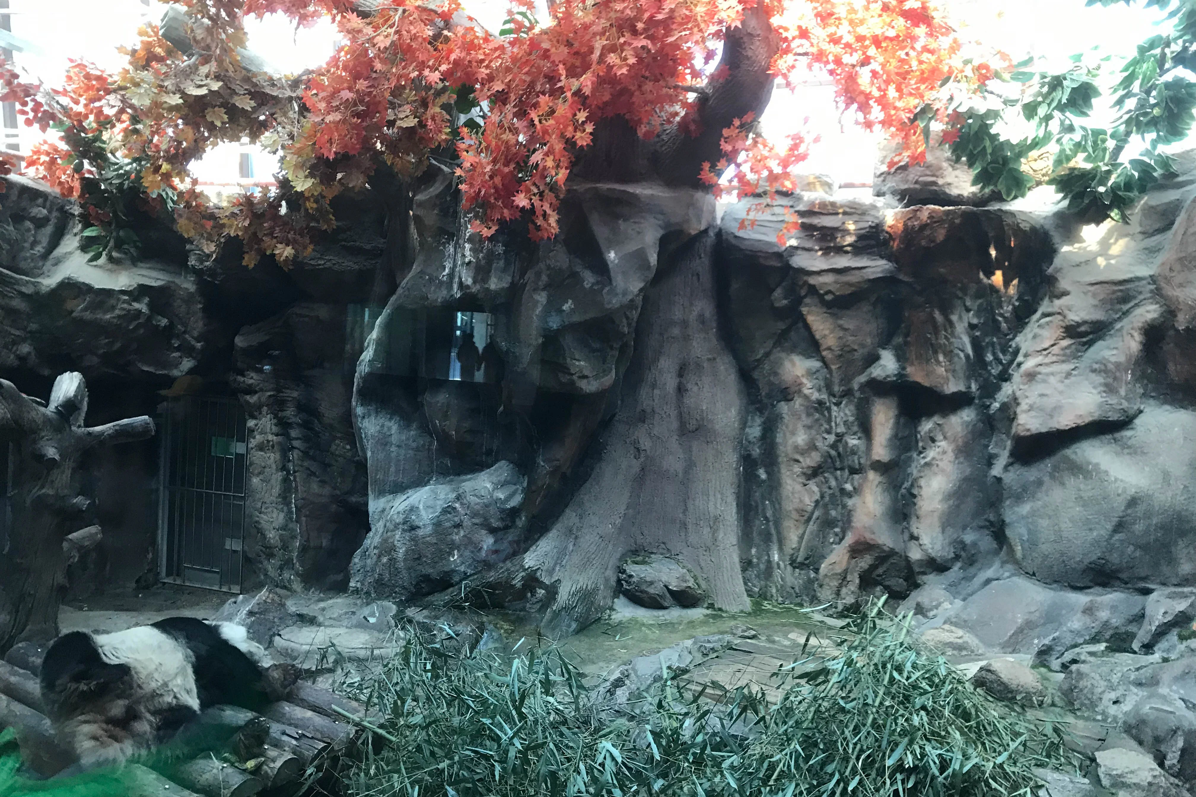 Beijing Zoo