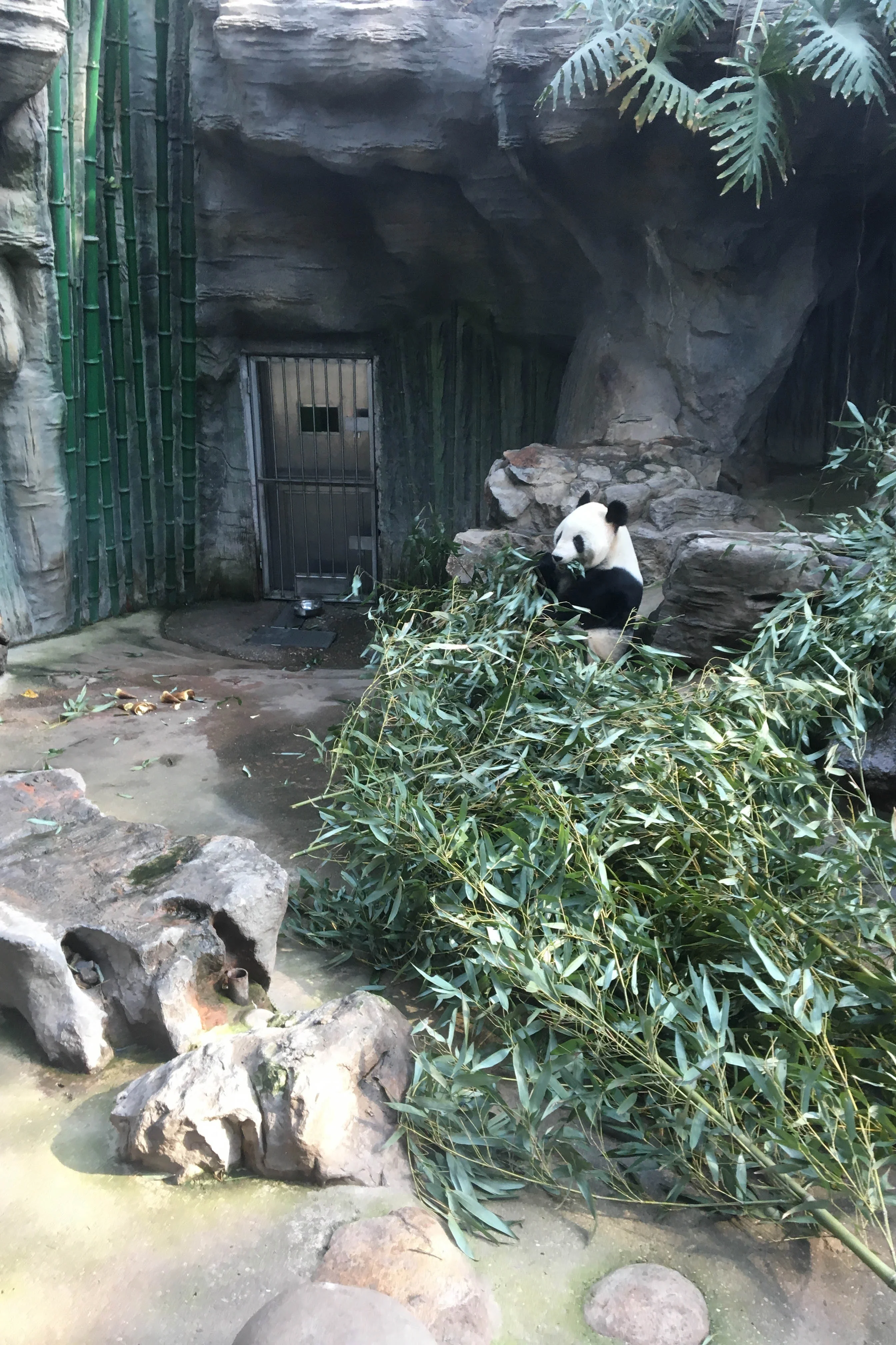 Beijing Zoo