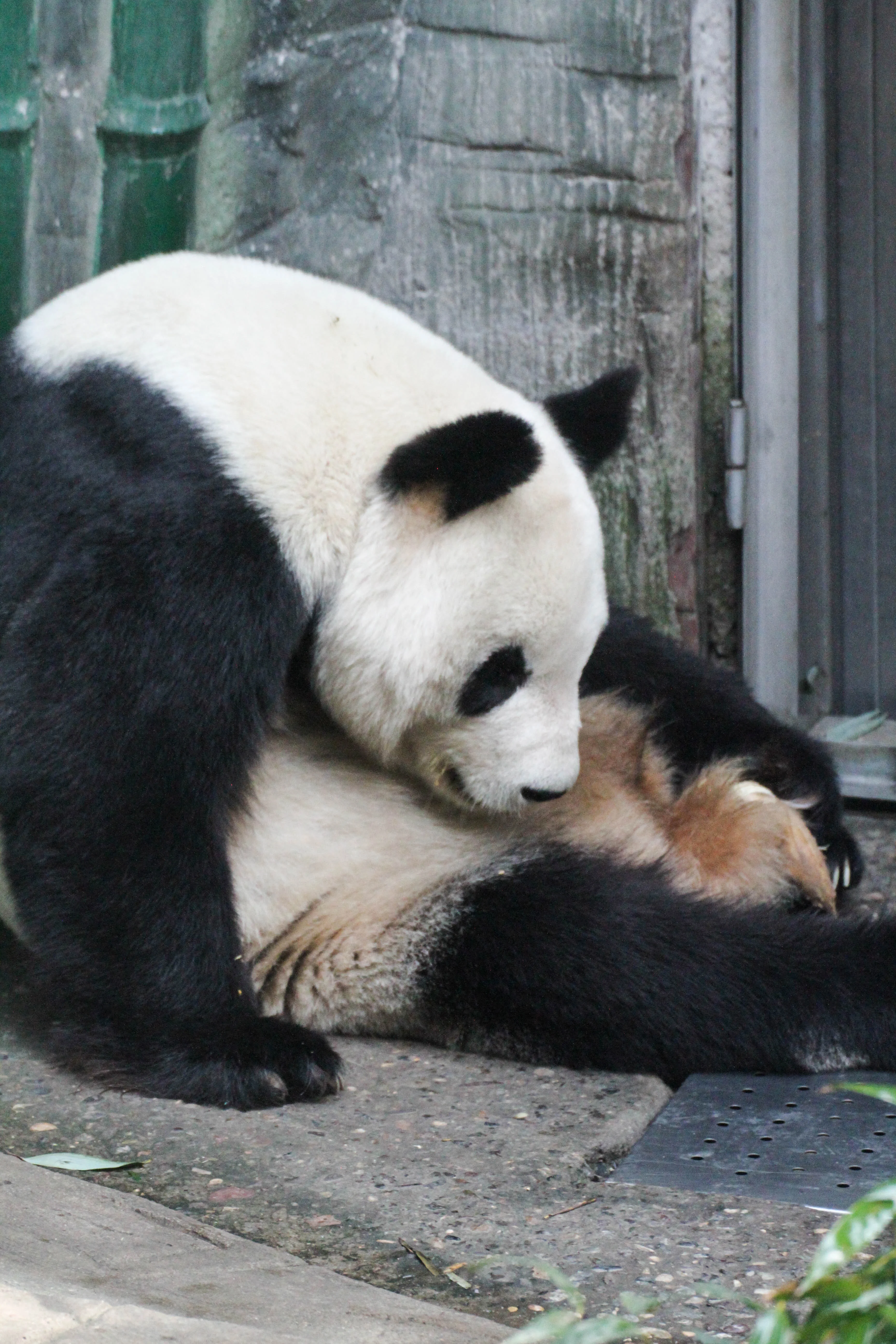 Beijing Zoo
