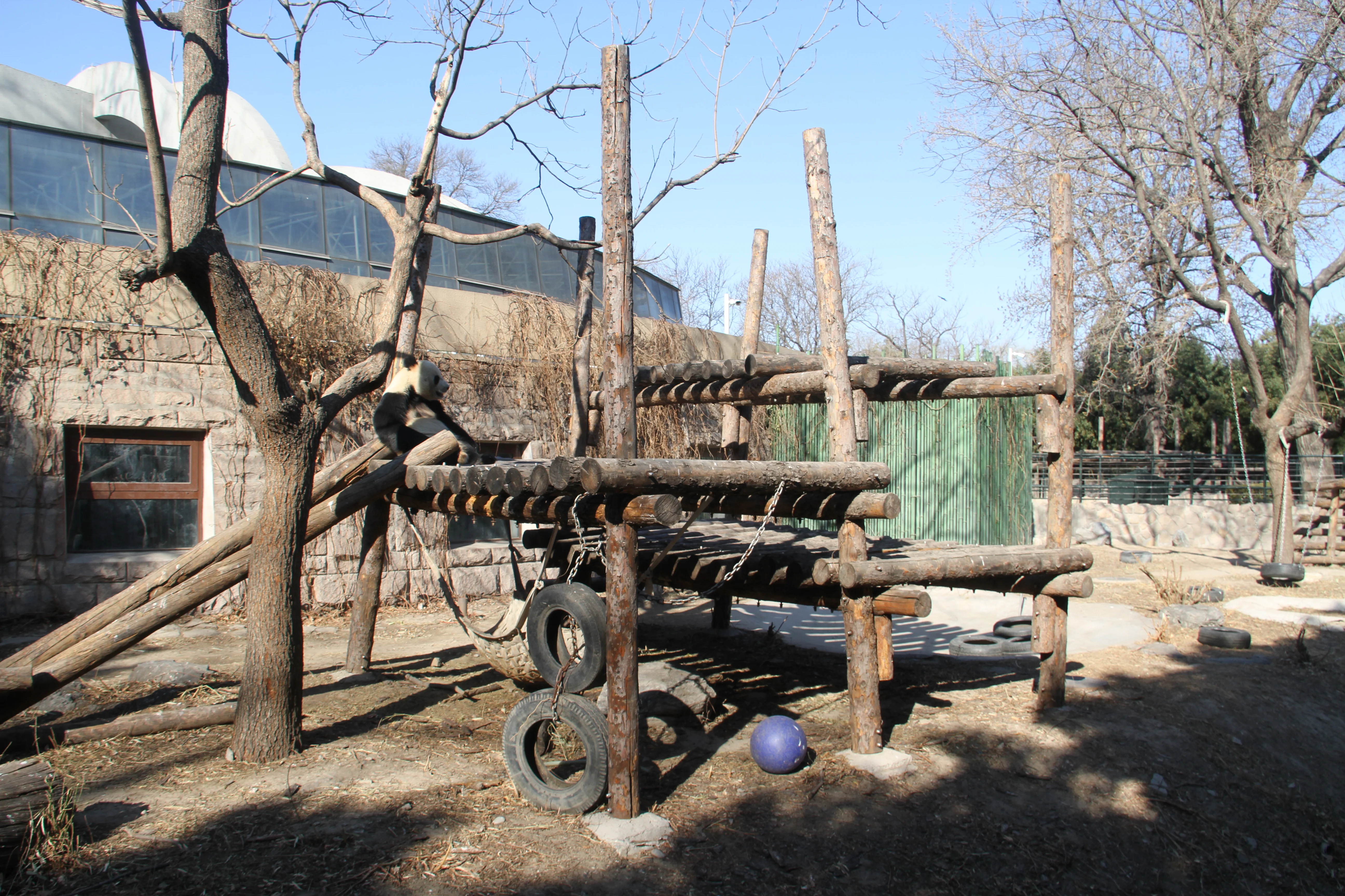Beijing Zoo