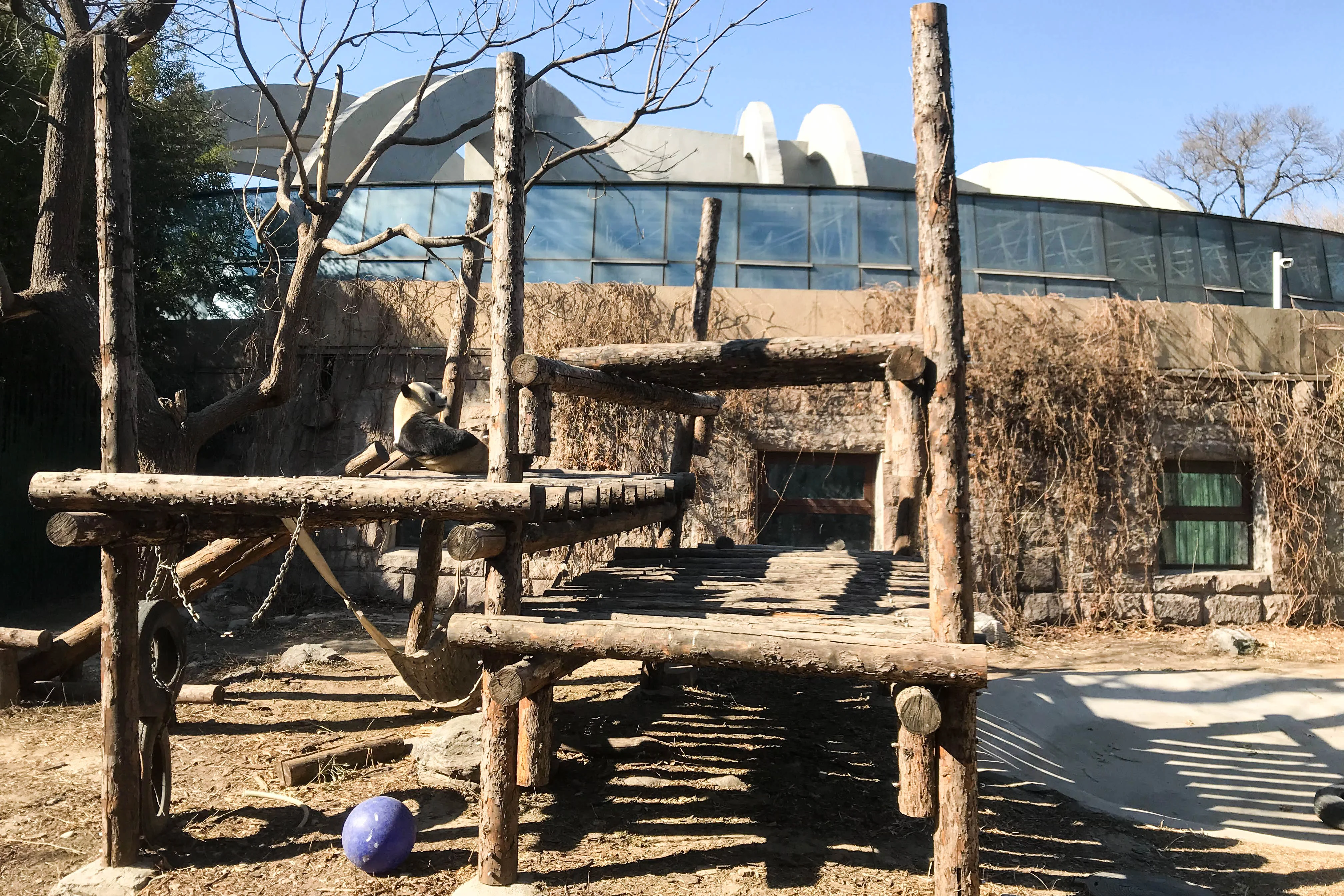 Beijing Zoo