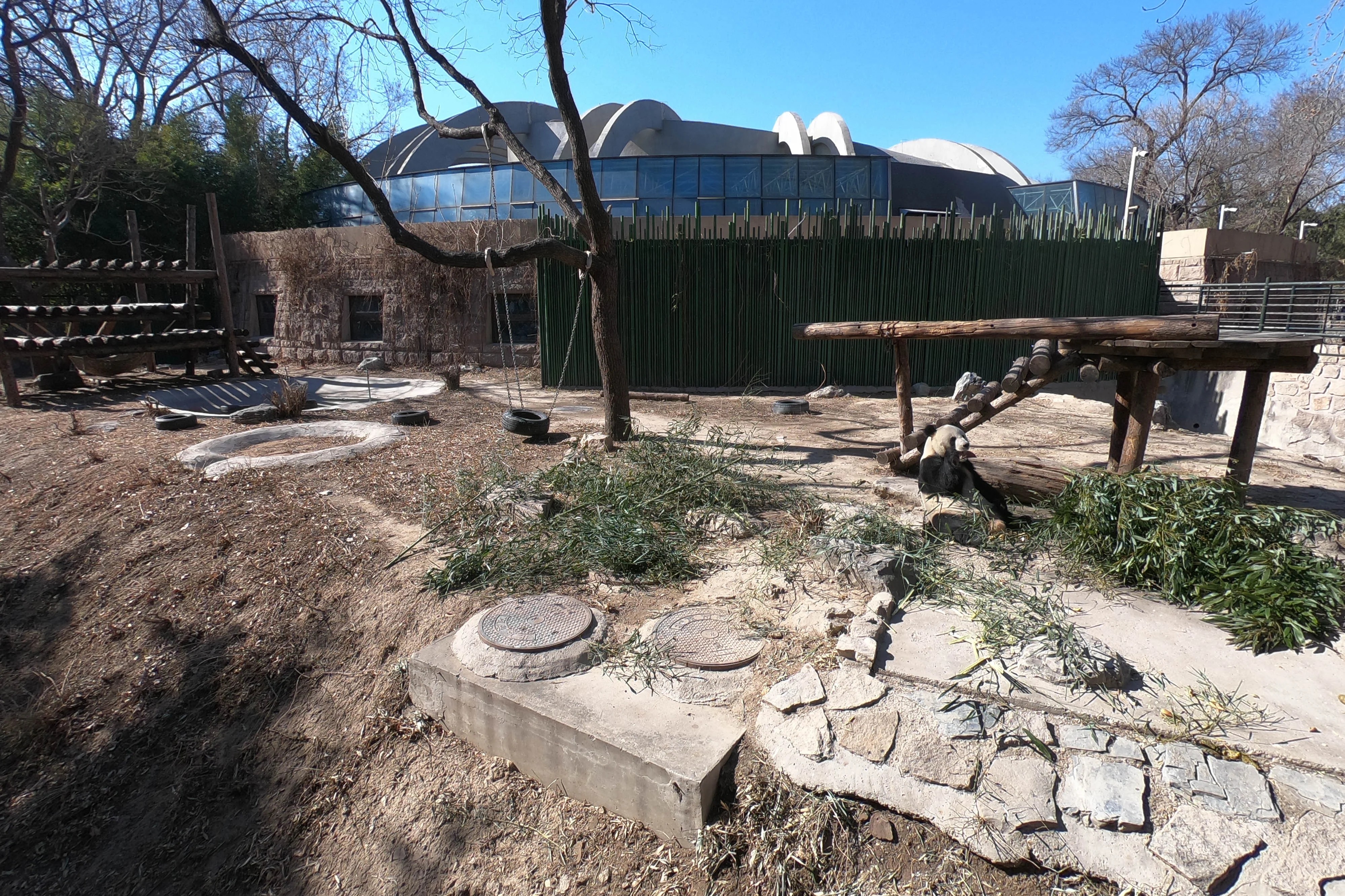 Beijing Zoo