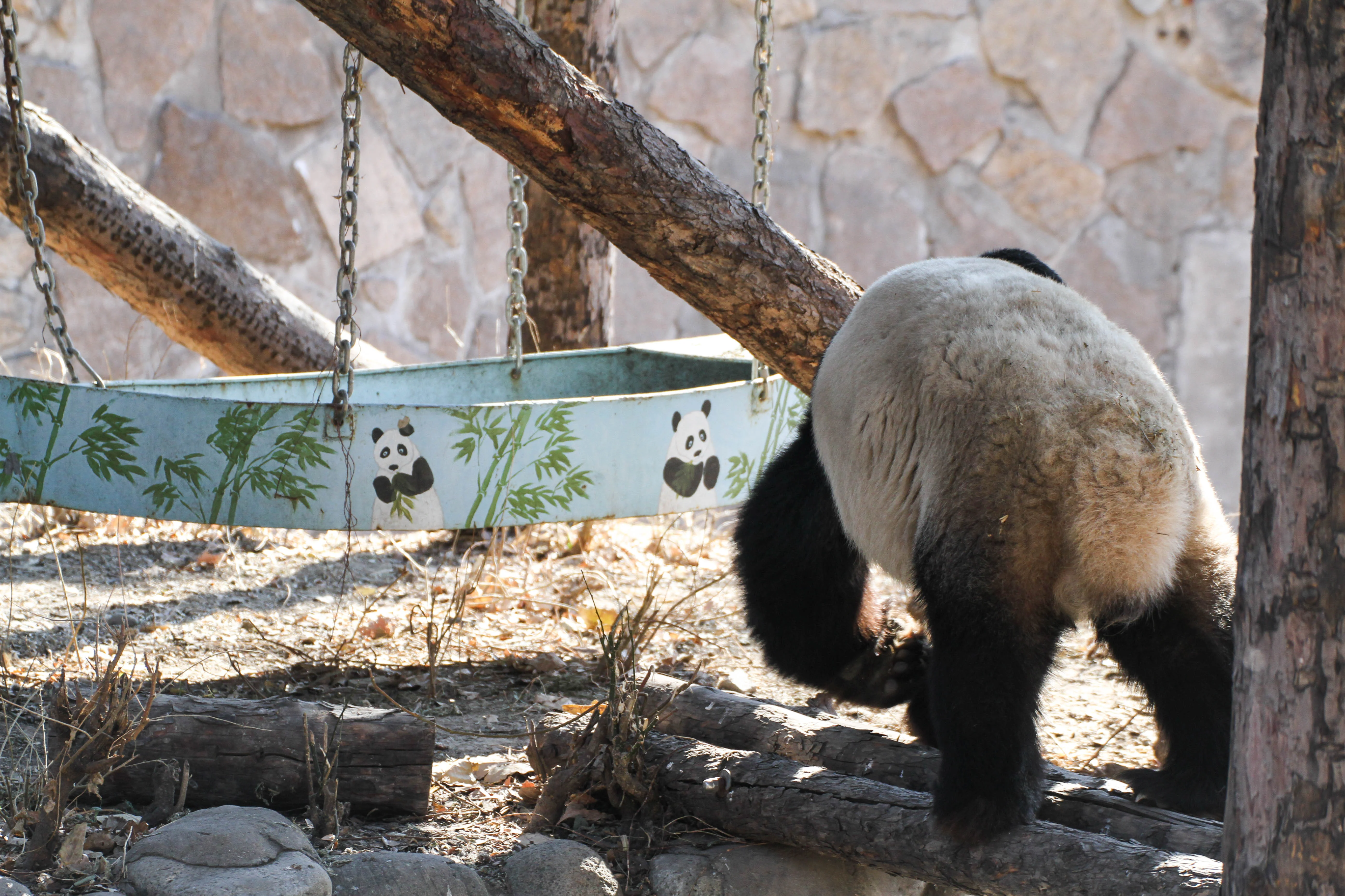 Beijing Zoo
