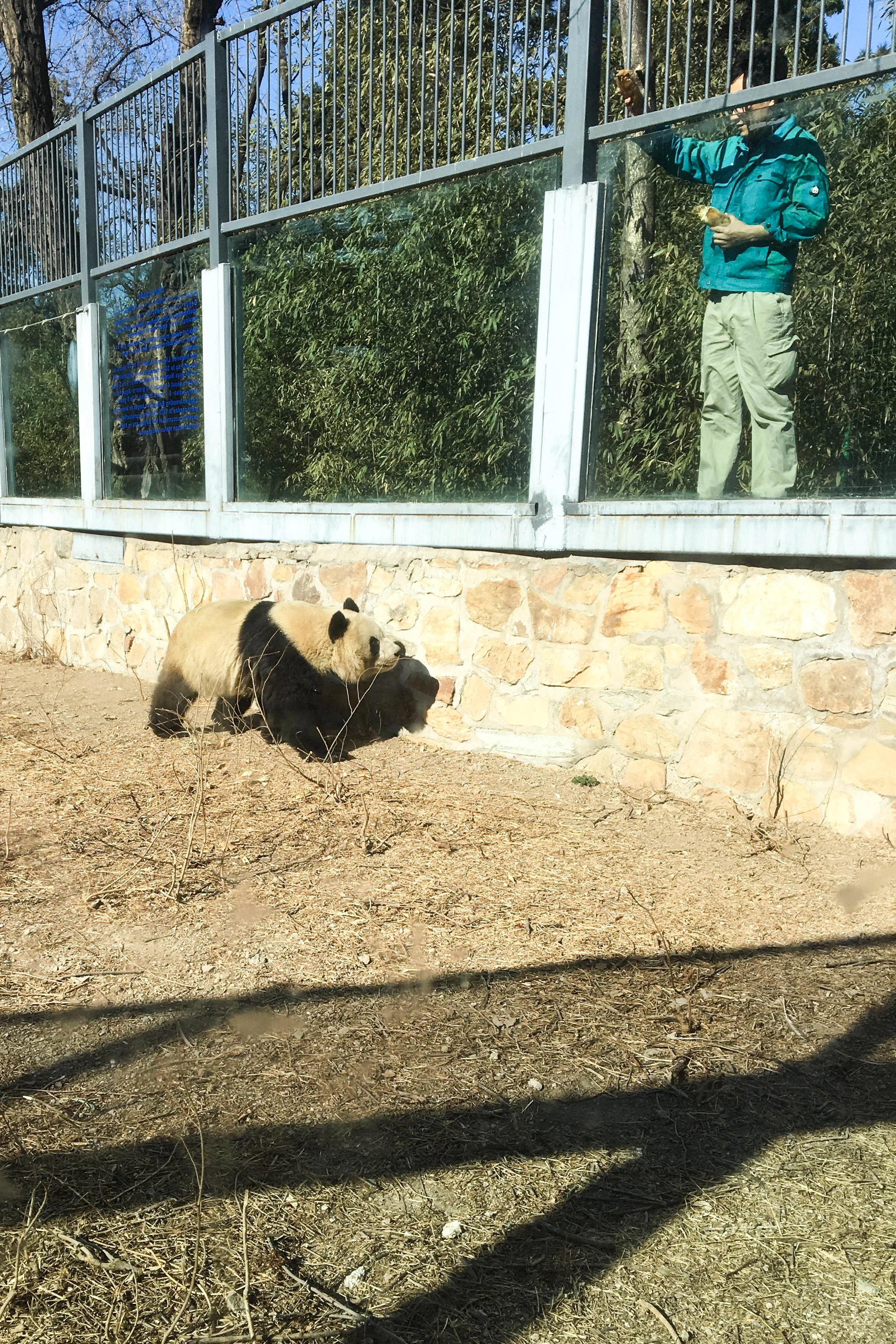 Beijing Zoo