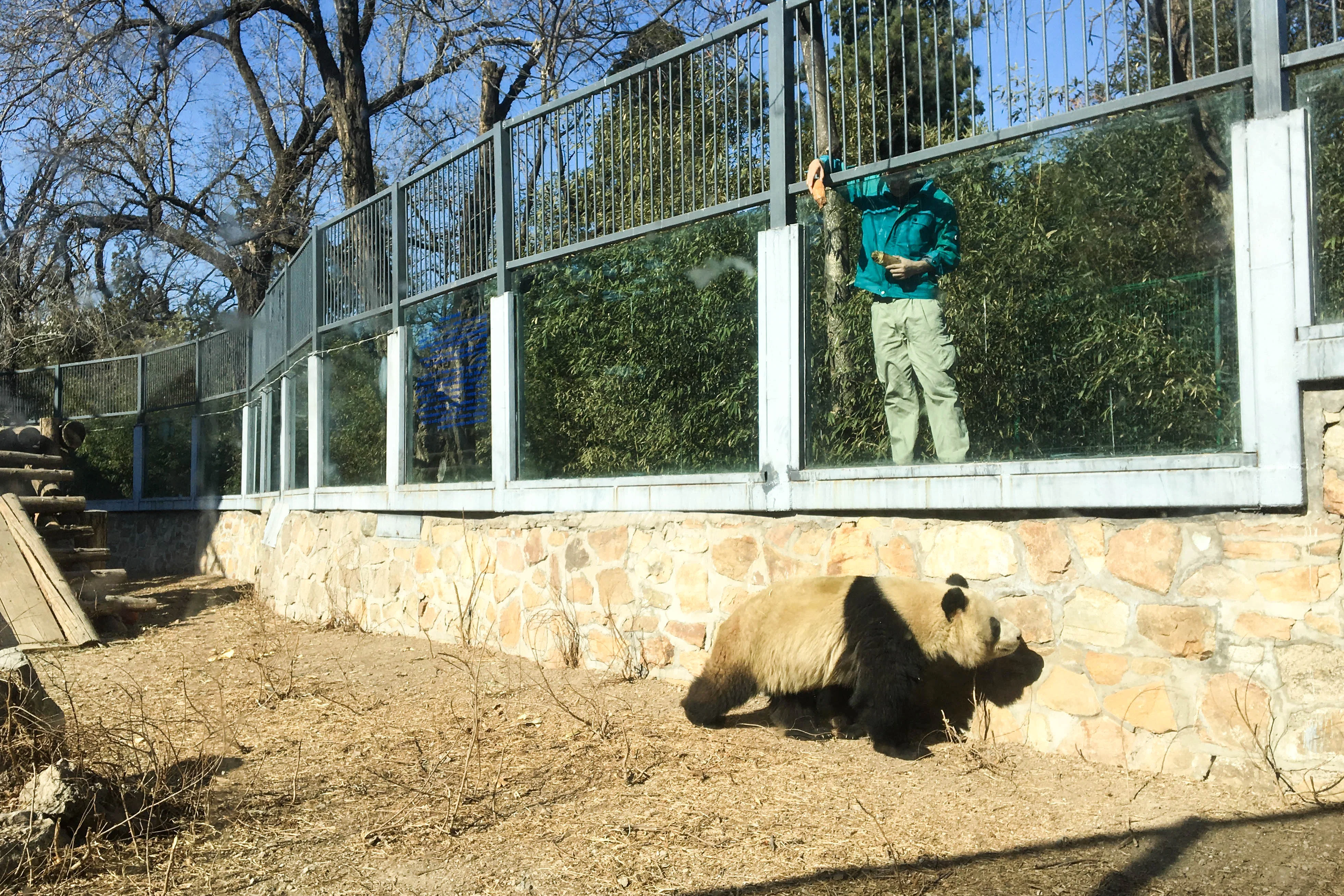 Beijing Zoo