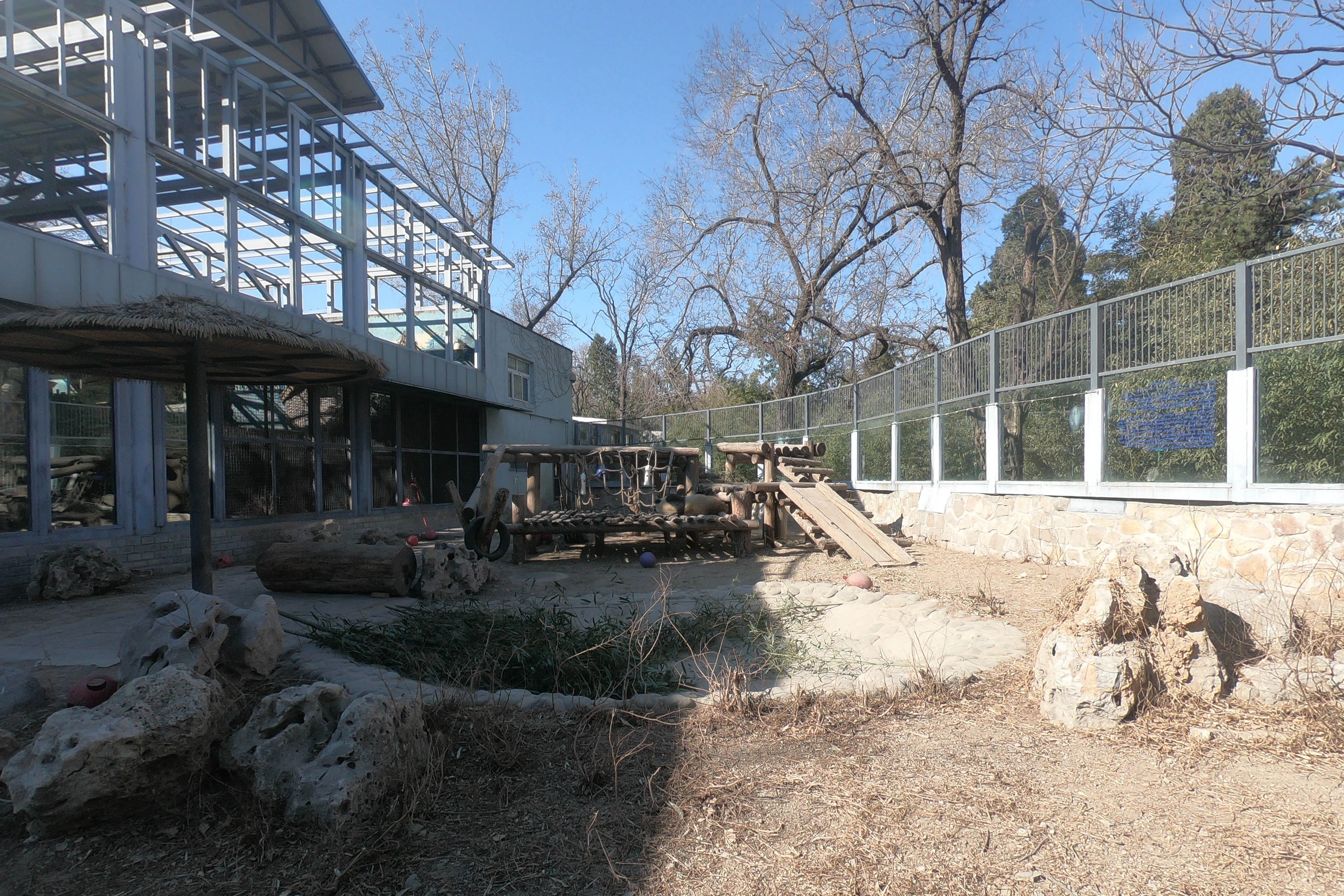 Beijing Zoo