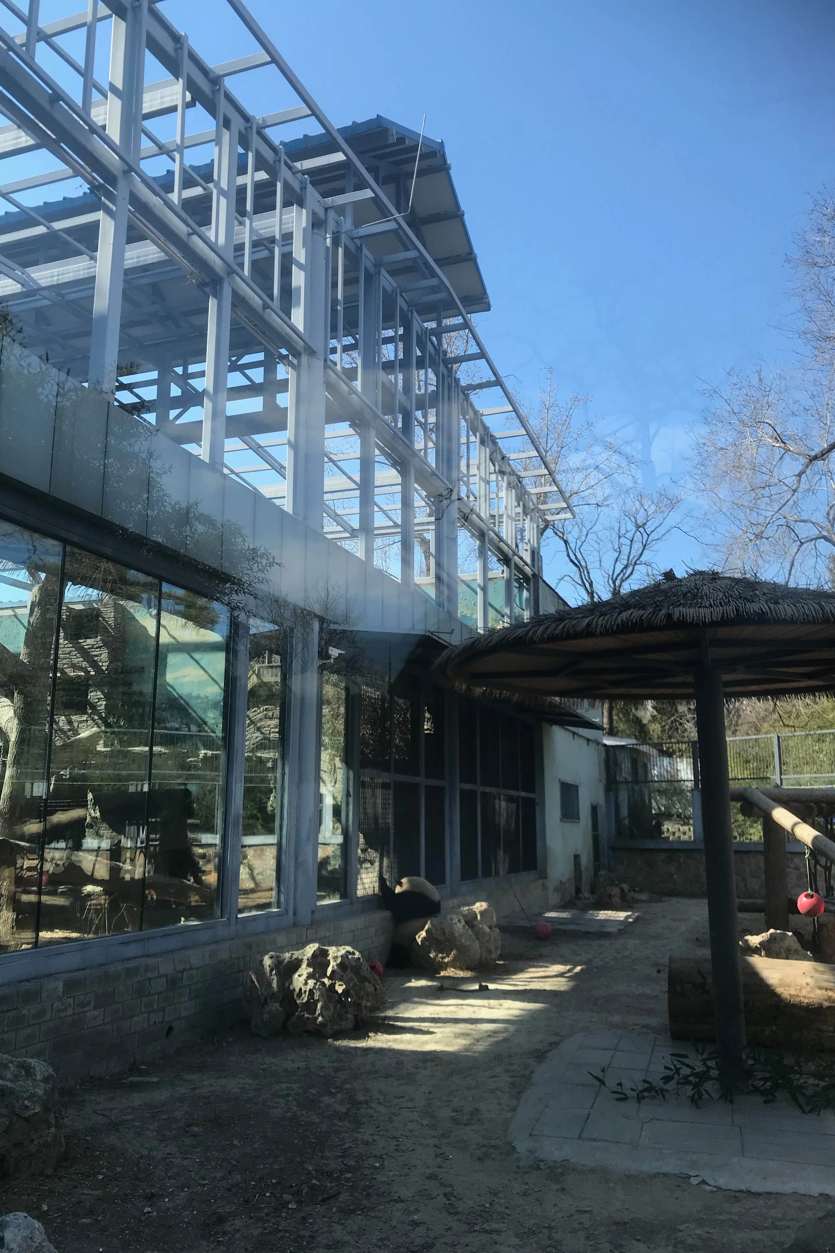 Beijing Zoo