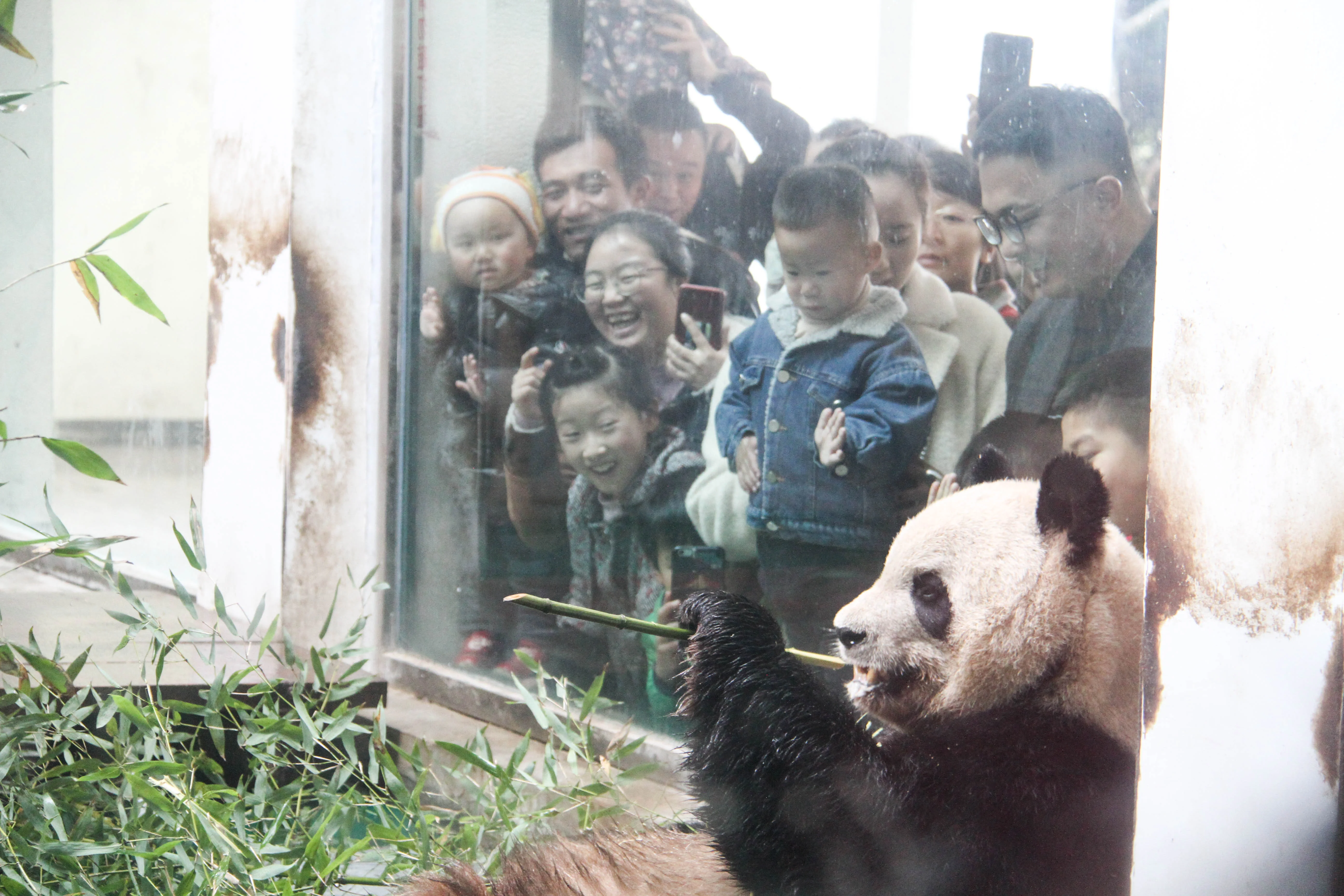 Chengdu Zoo