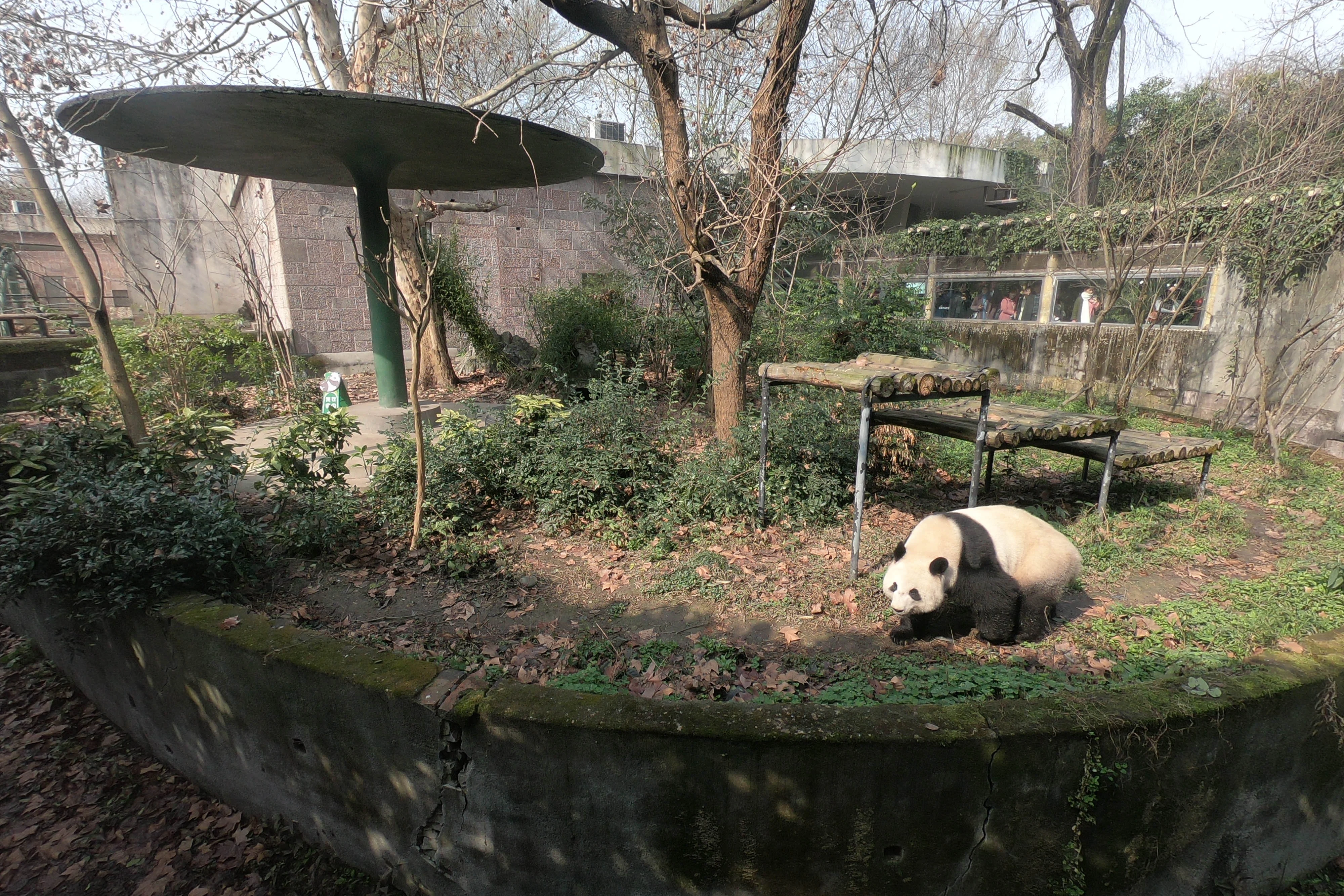 Chengdu Zoo