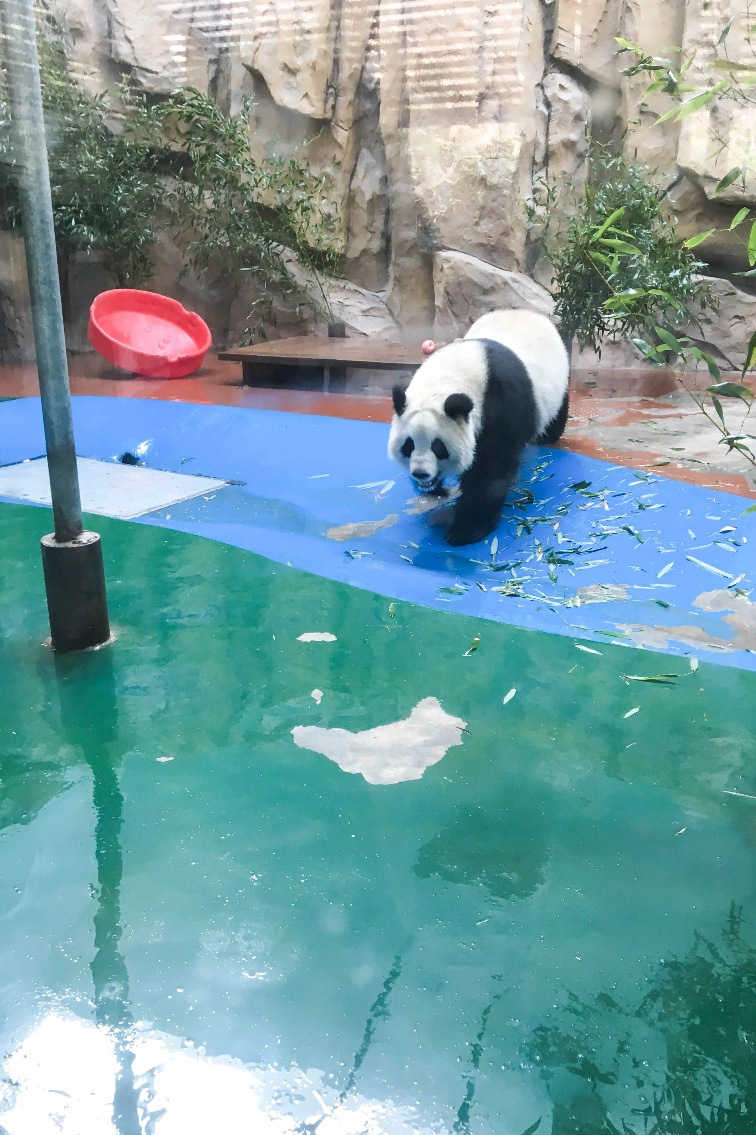 Chengdu Zoo