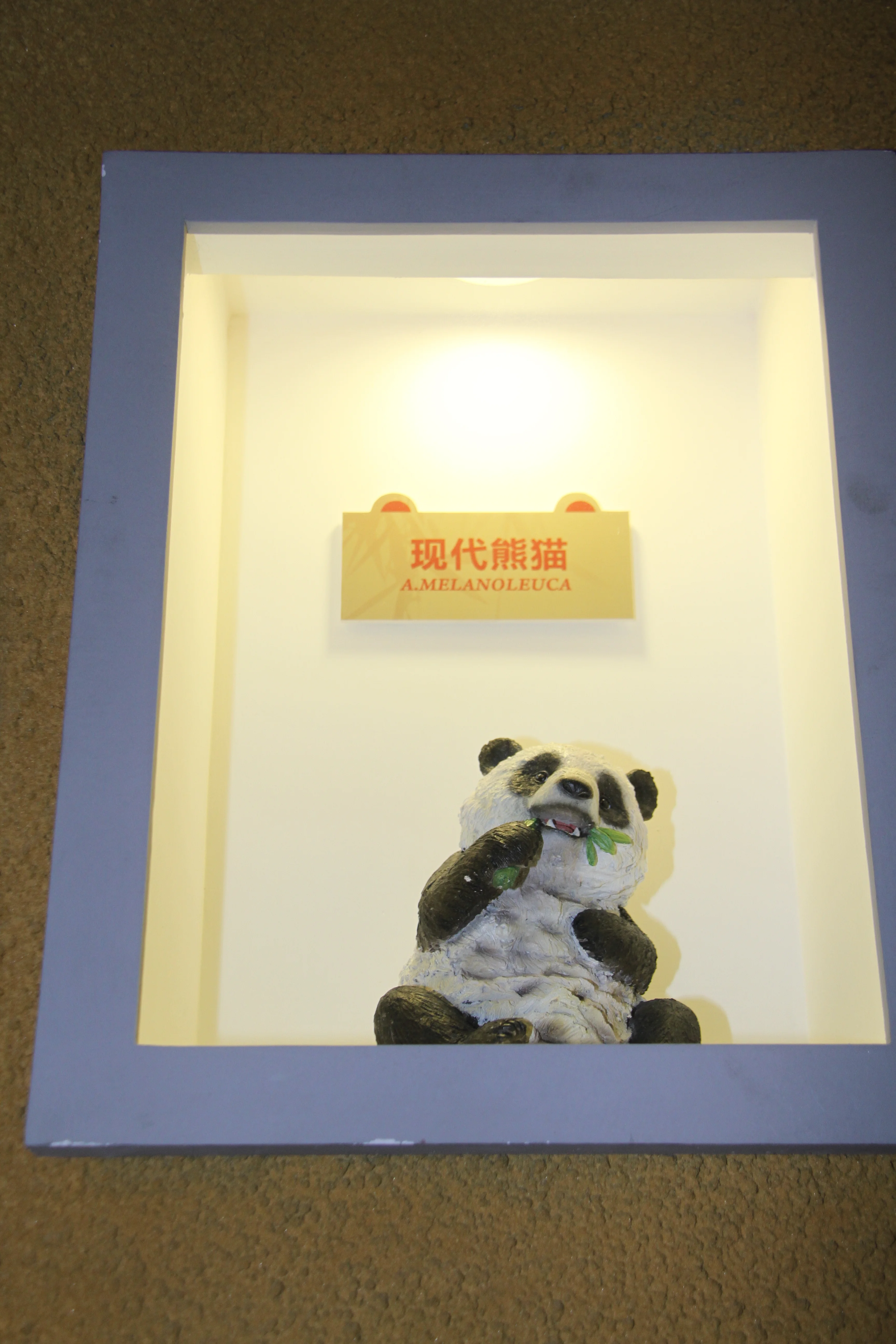 Fengtongzhai National Nature Reserve Museum