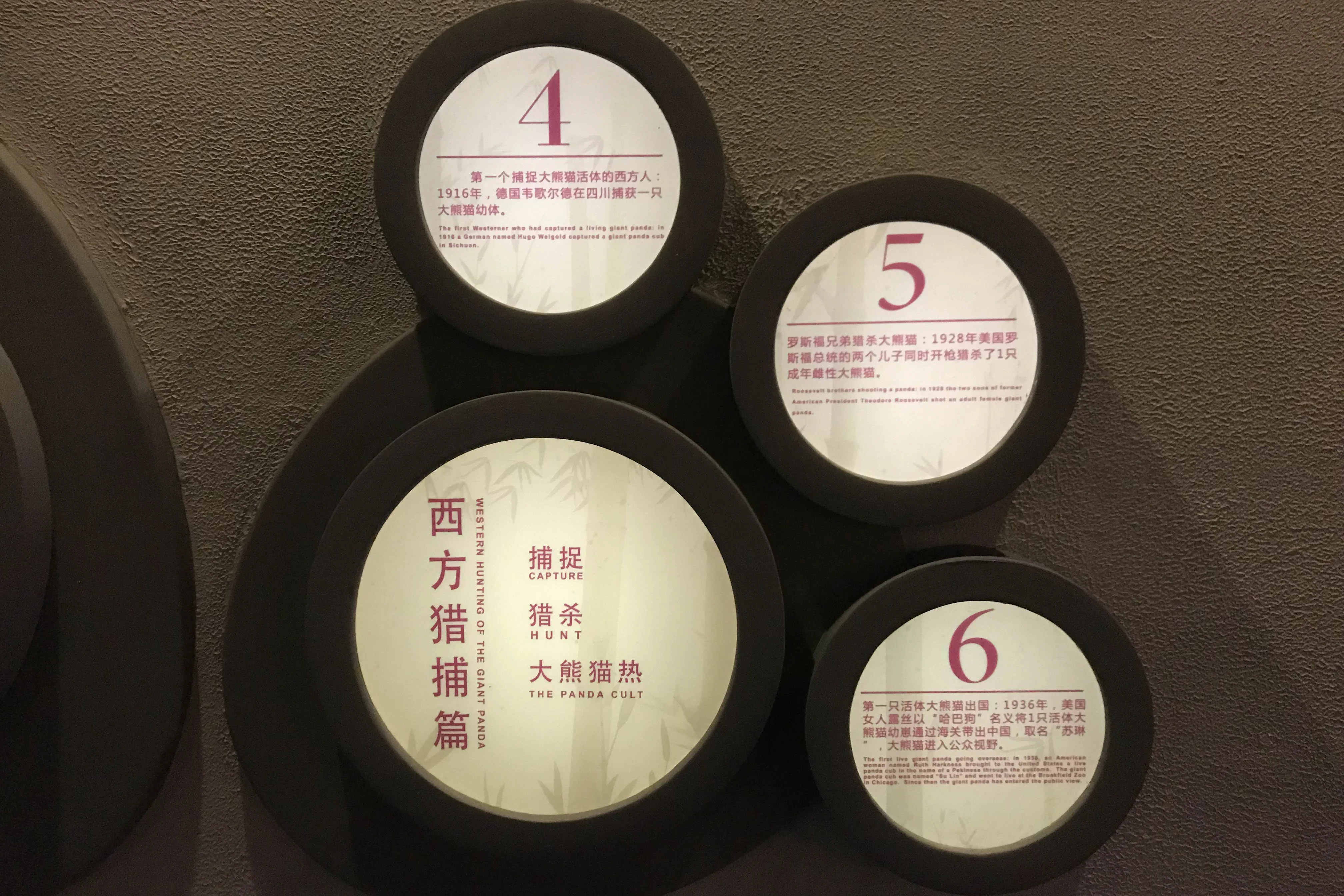 Fengtongzhai National Nature Reserve Museum
