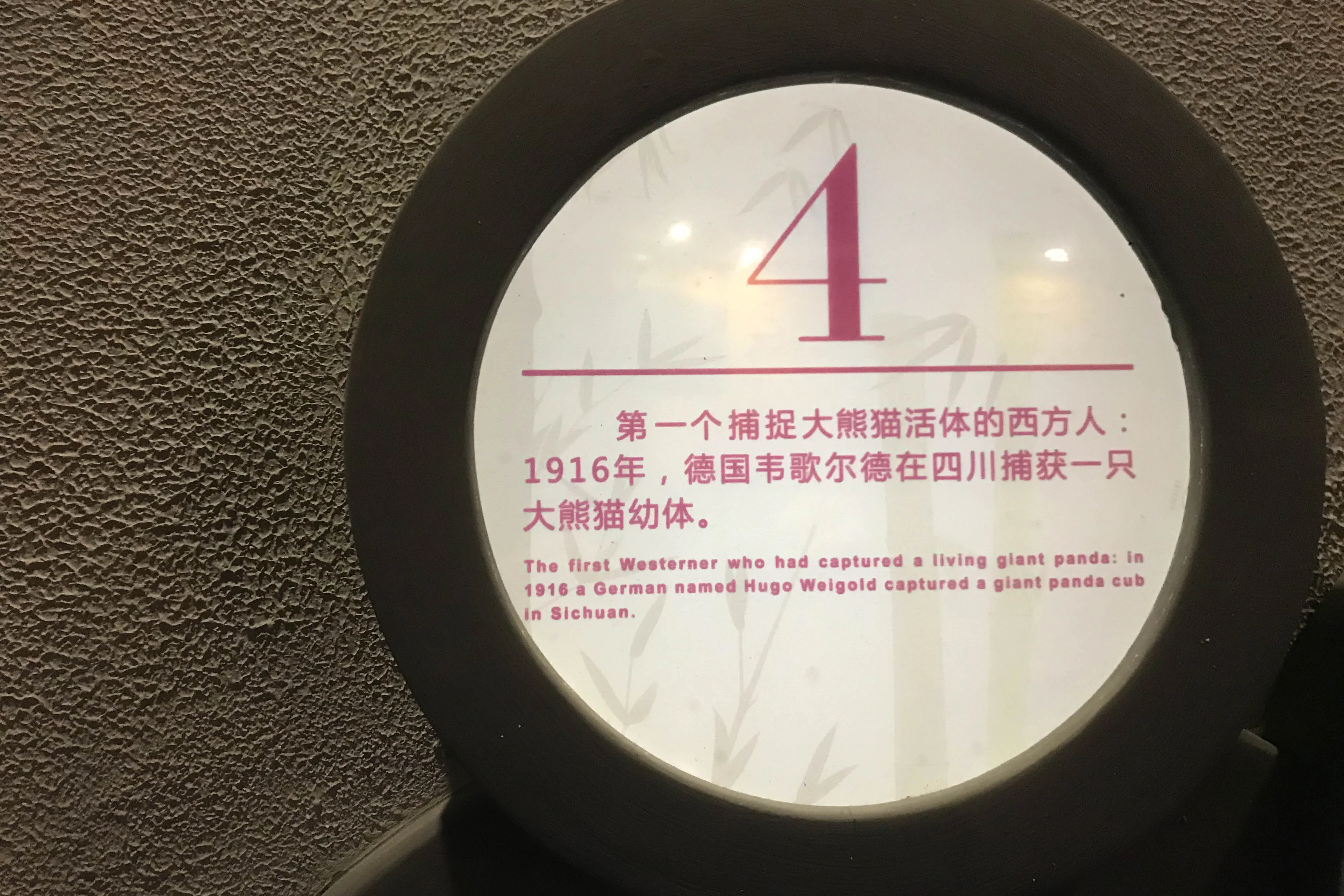 Fengtongzhai National Nature Reserve Museum