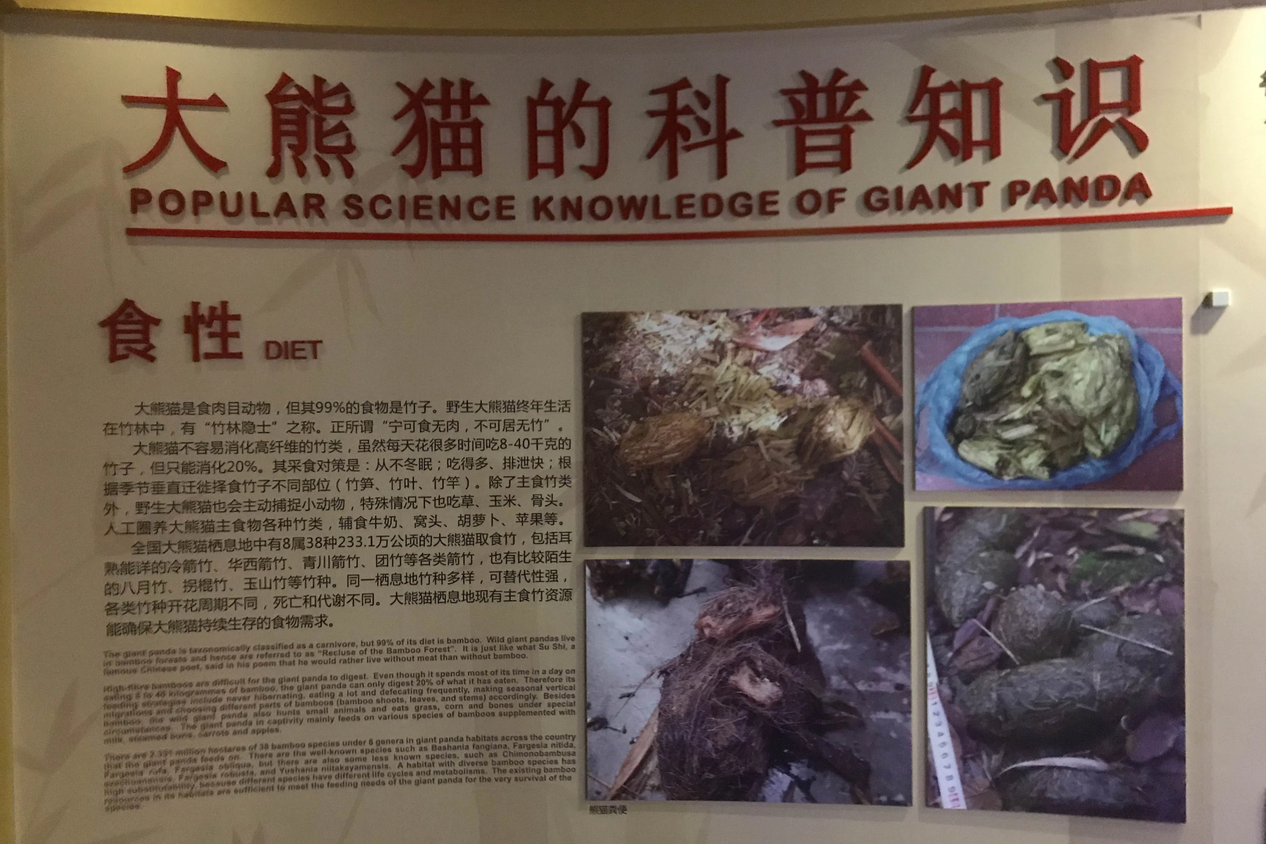 Fengtongzhai National Nature Reserve Museum