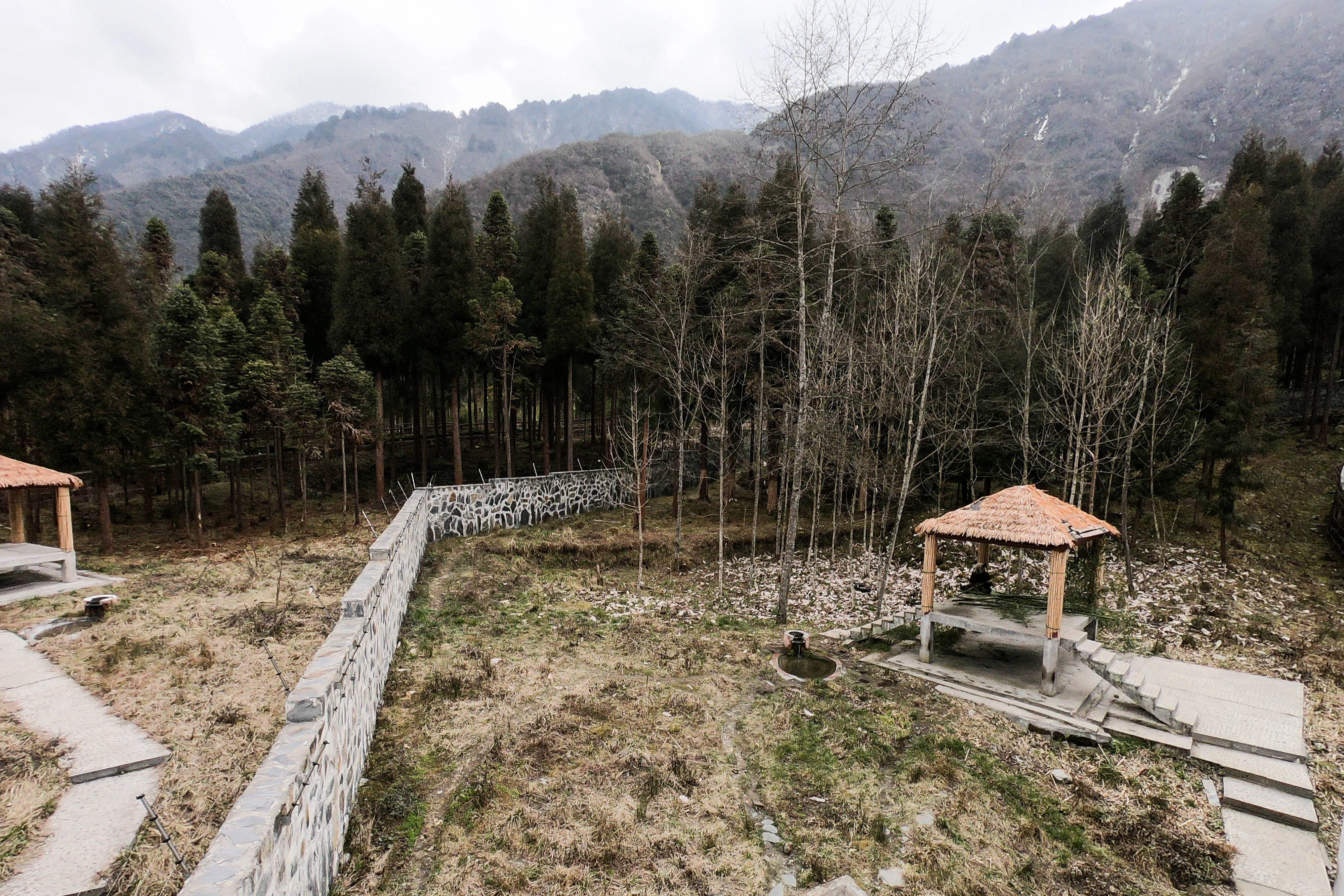 Giant Panda Culture Publicity &amp; Education Center Baoxing