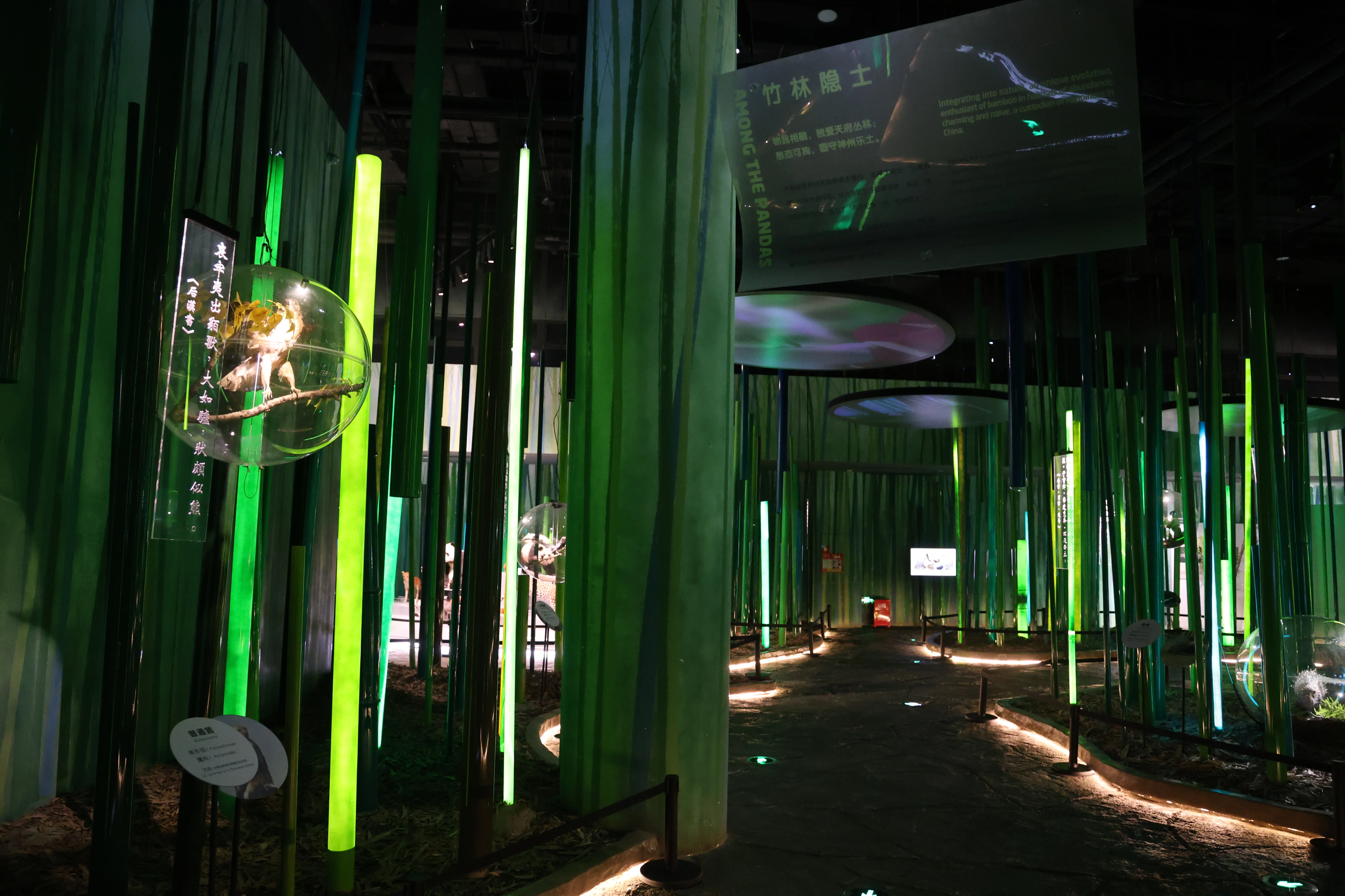 Chengdu Giant Panda Museum @ CRBGPB