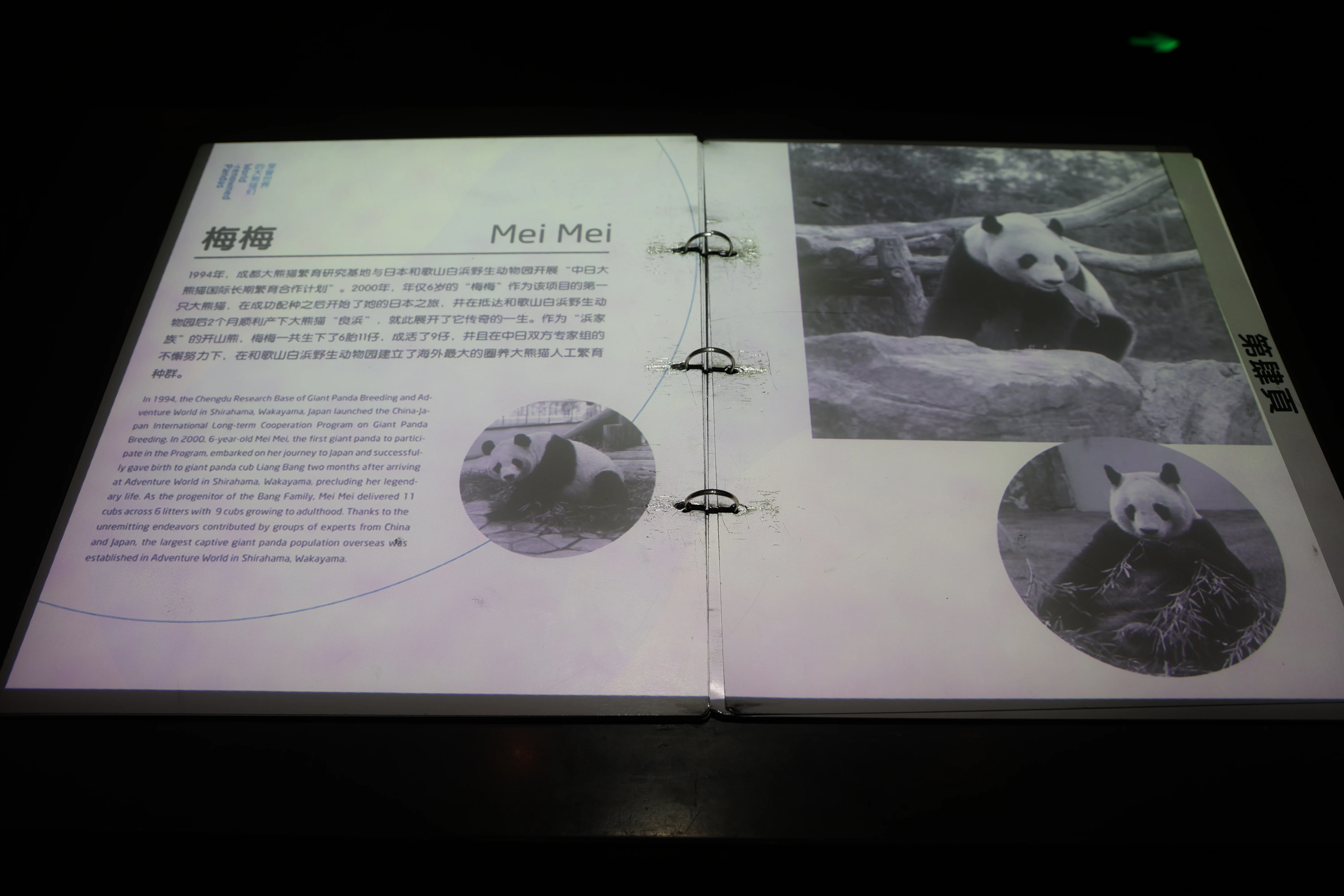 Chengdu Giant Panda Museum @ CRBGPB