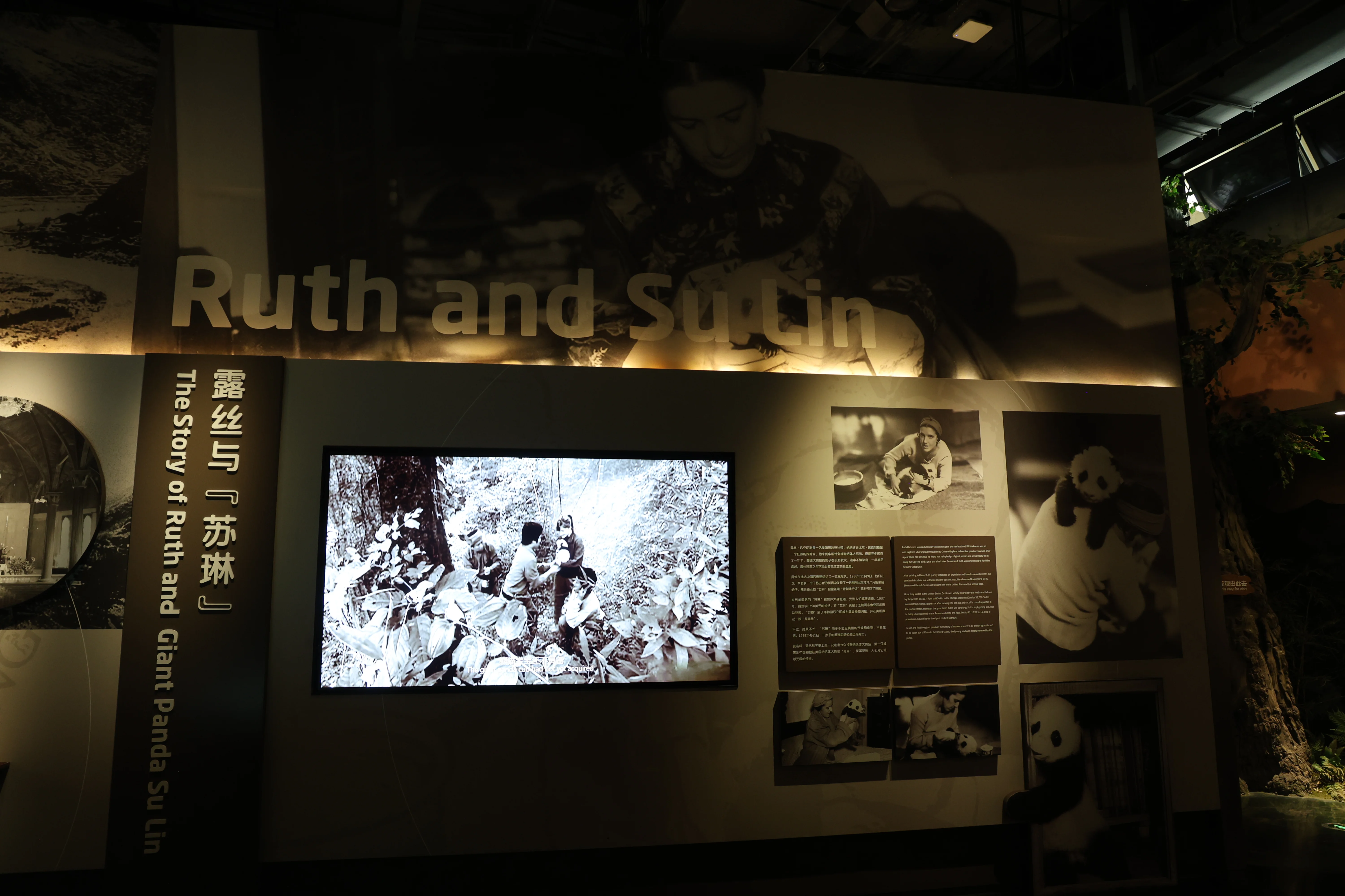 Chengdu Giant Panda Museum @ CRBGPB