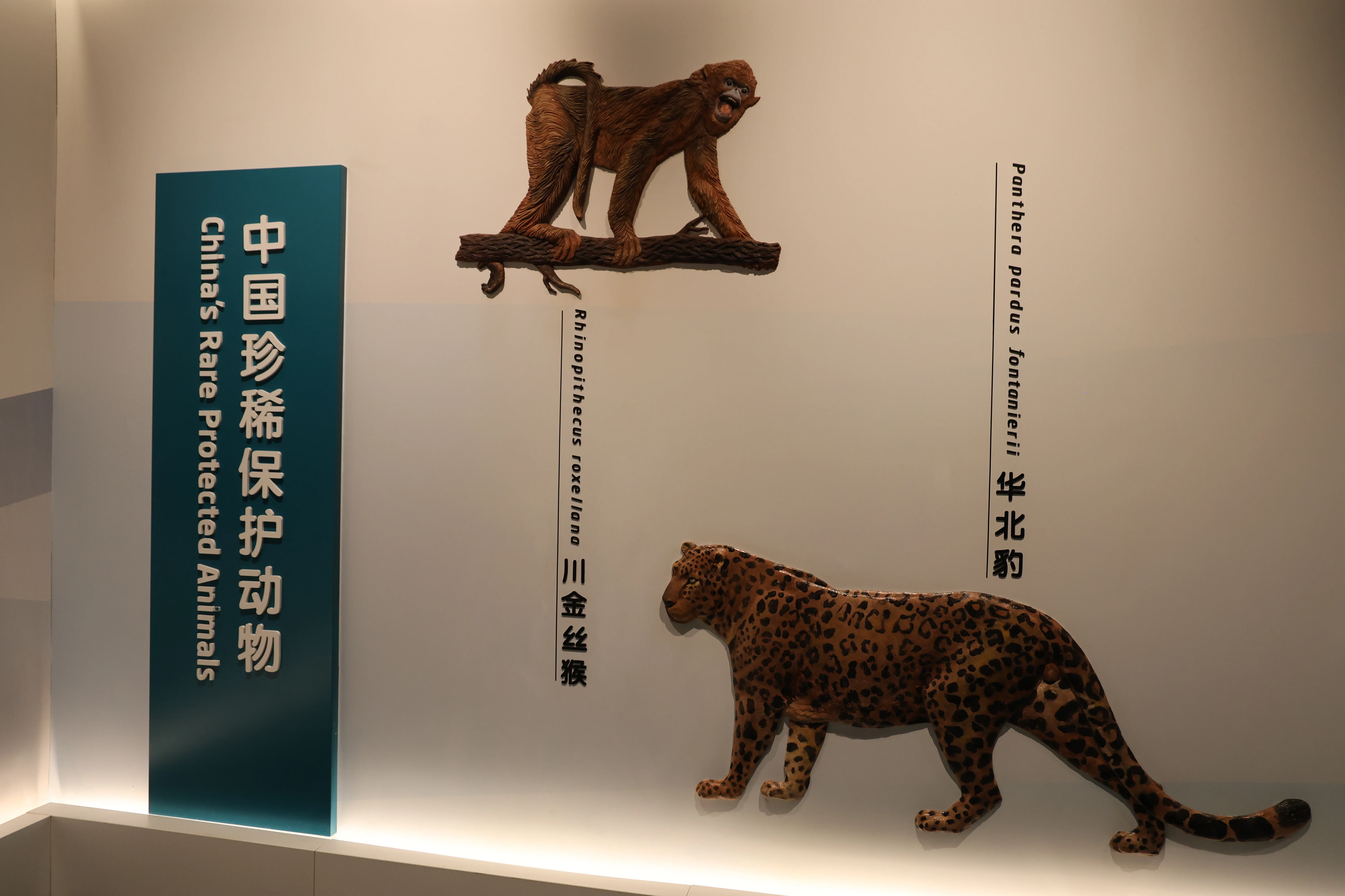 Chengdu Giant Panda Museum @ CRBGPB