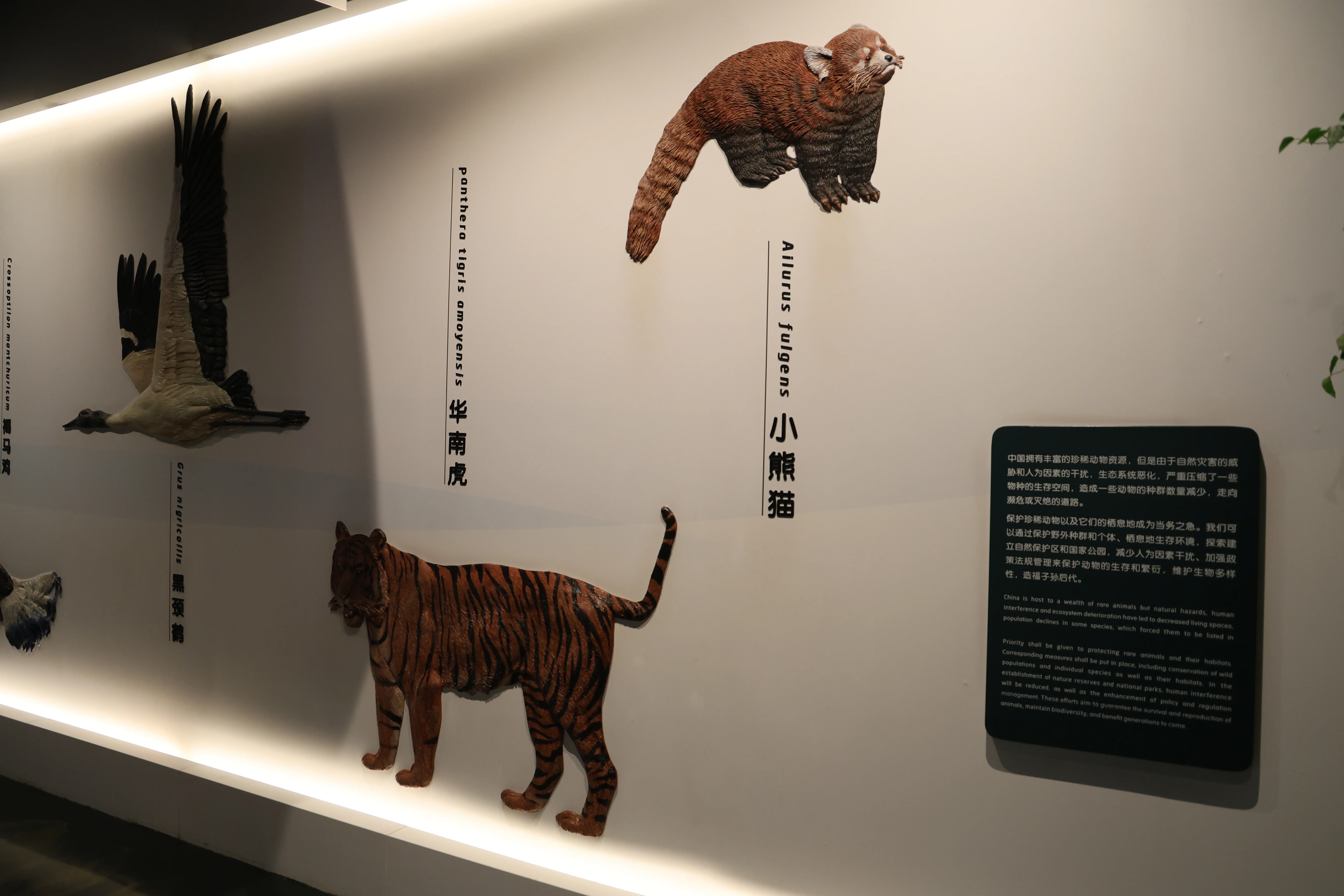 Chengdu Giant Panda Museum @ CRBGPB