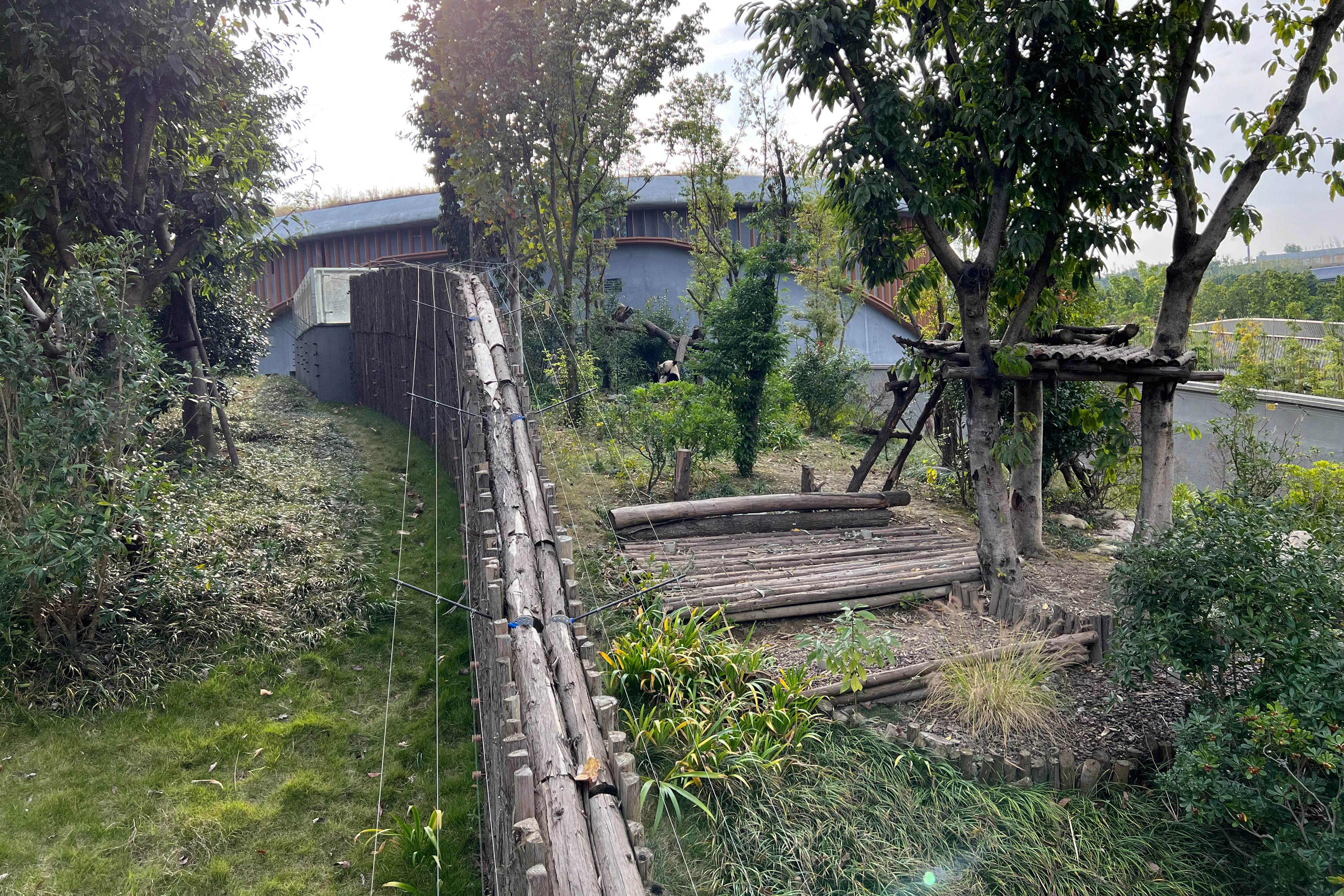 Chengdu Research Base of Giant Panda Breeding