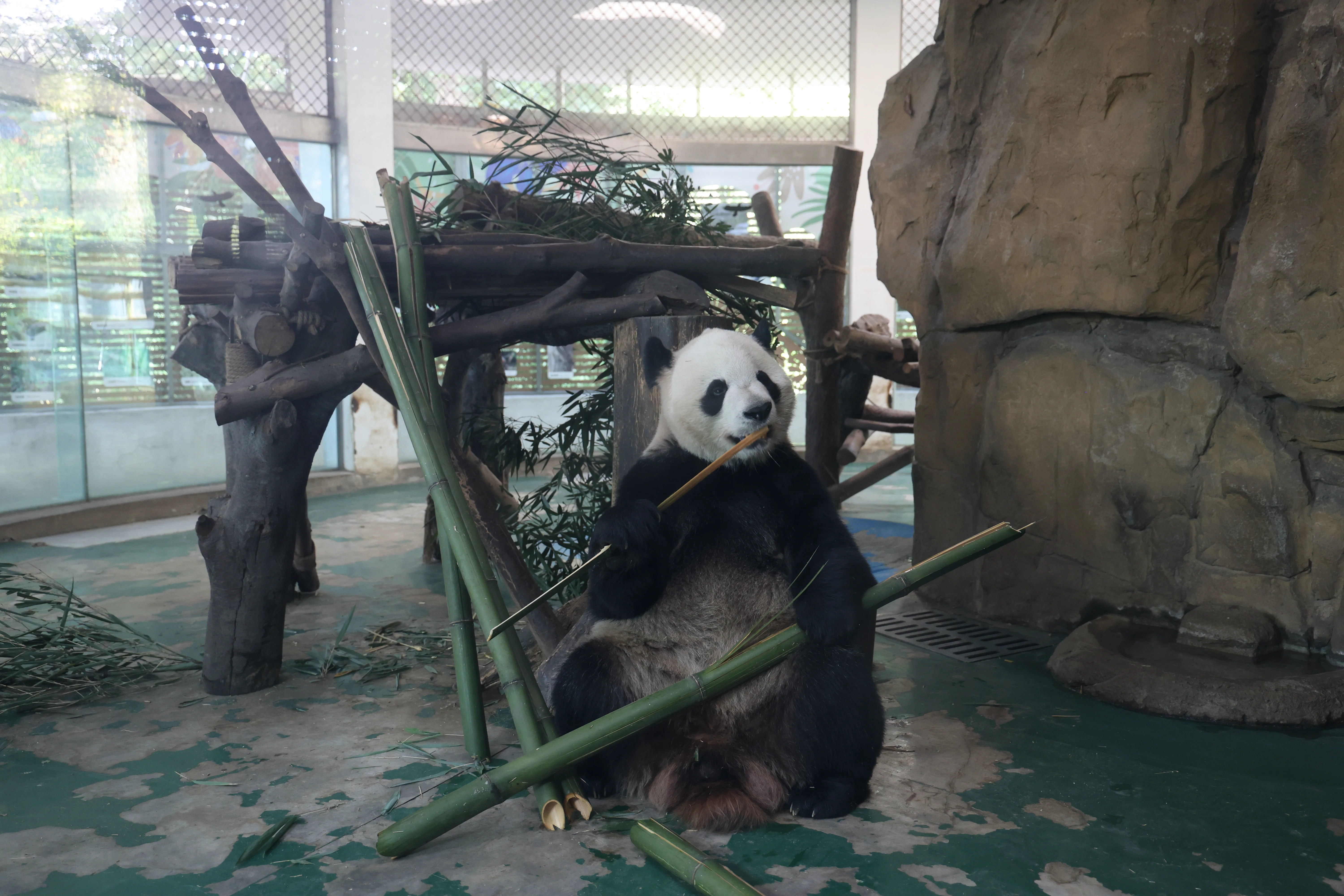 Chengdu Zoo