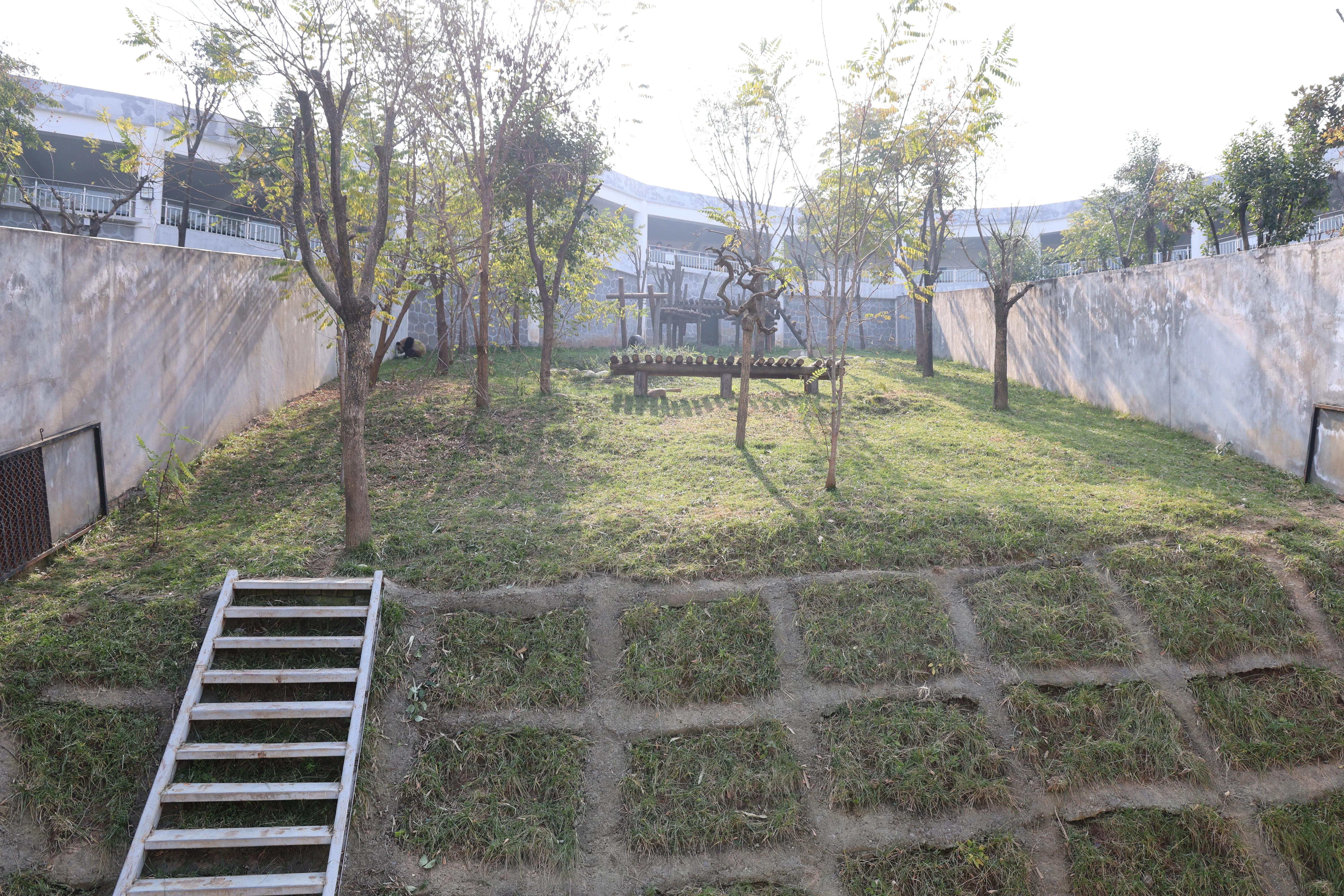 Research Center for the Qinling Giant Panda