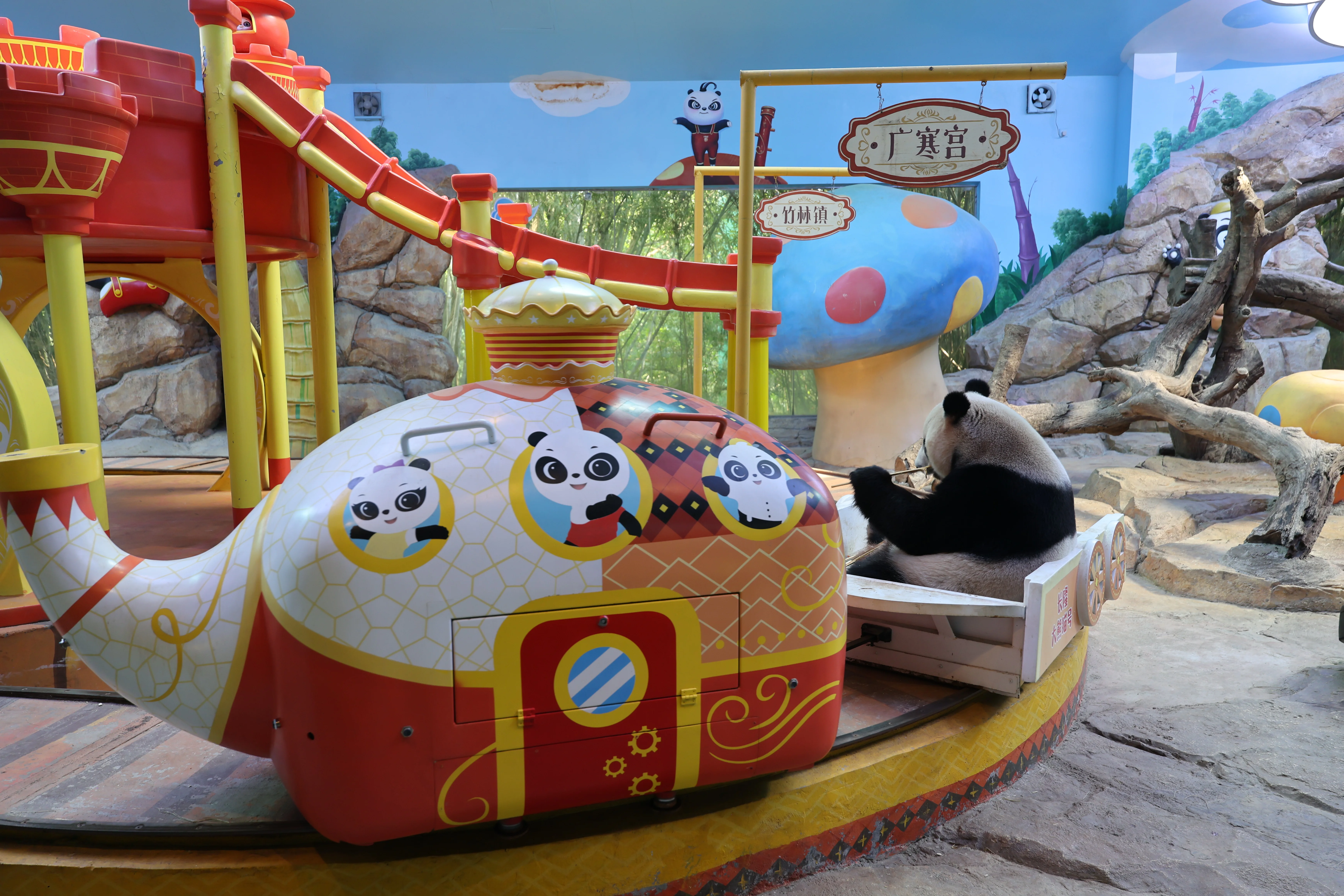 Chimelong Safari Park