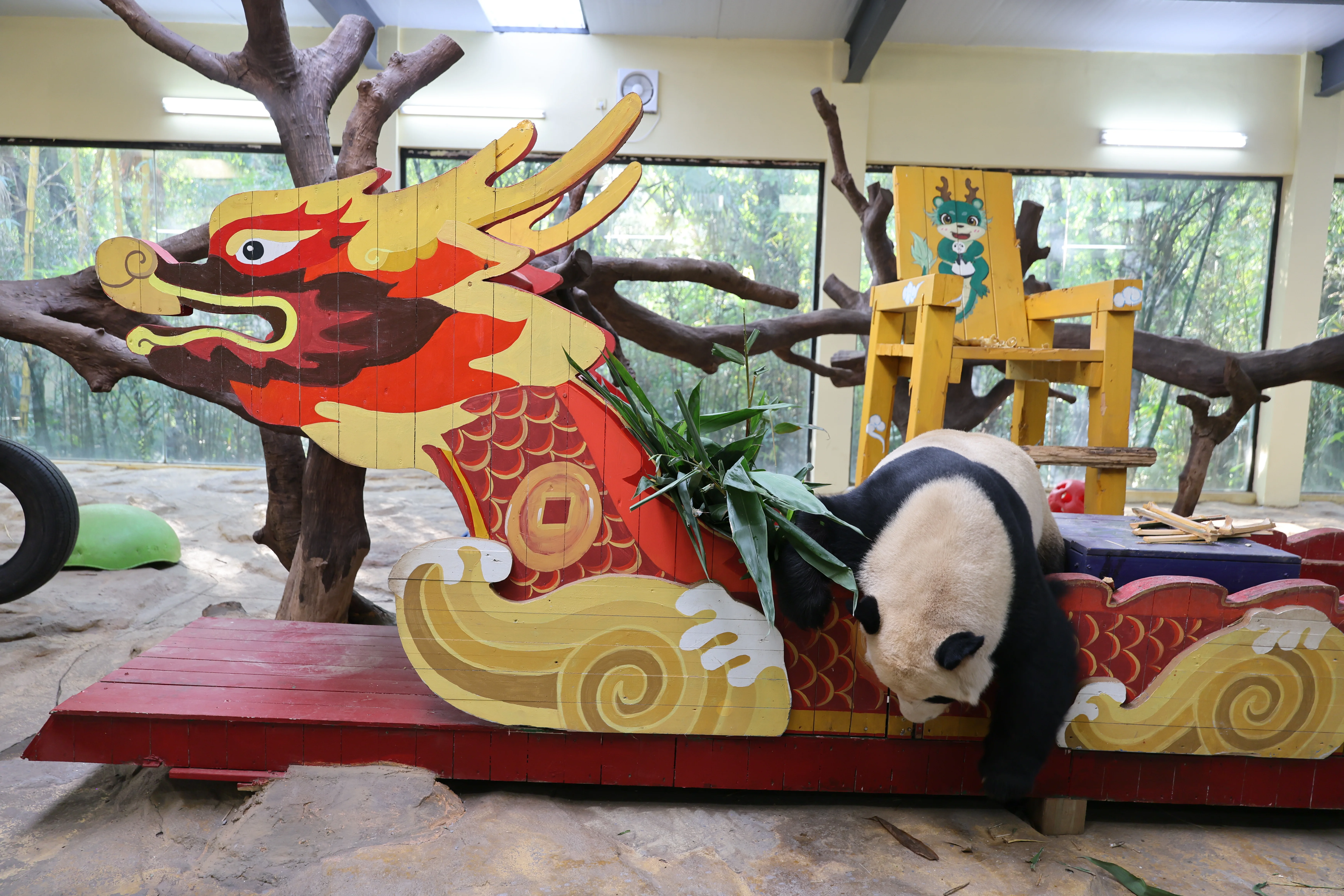 Chimelong Safari Park