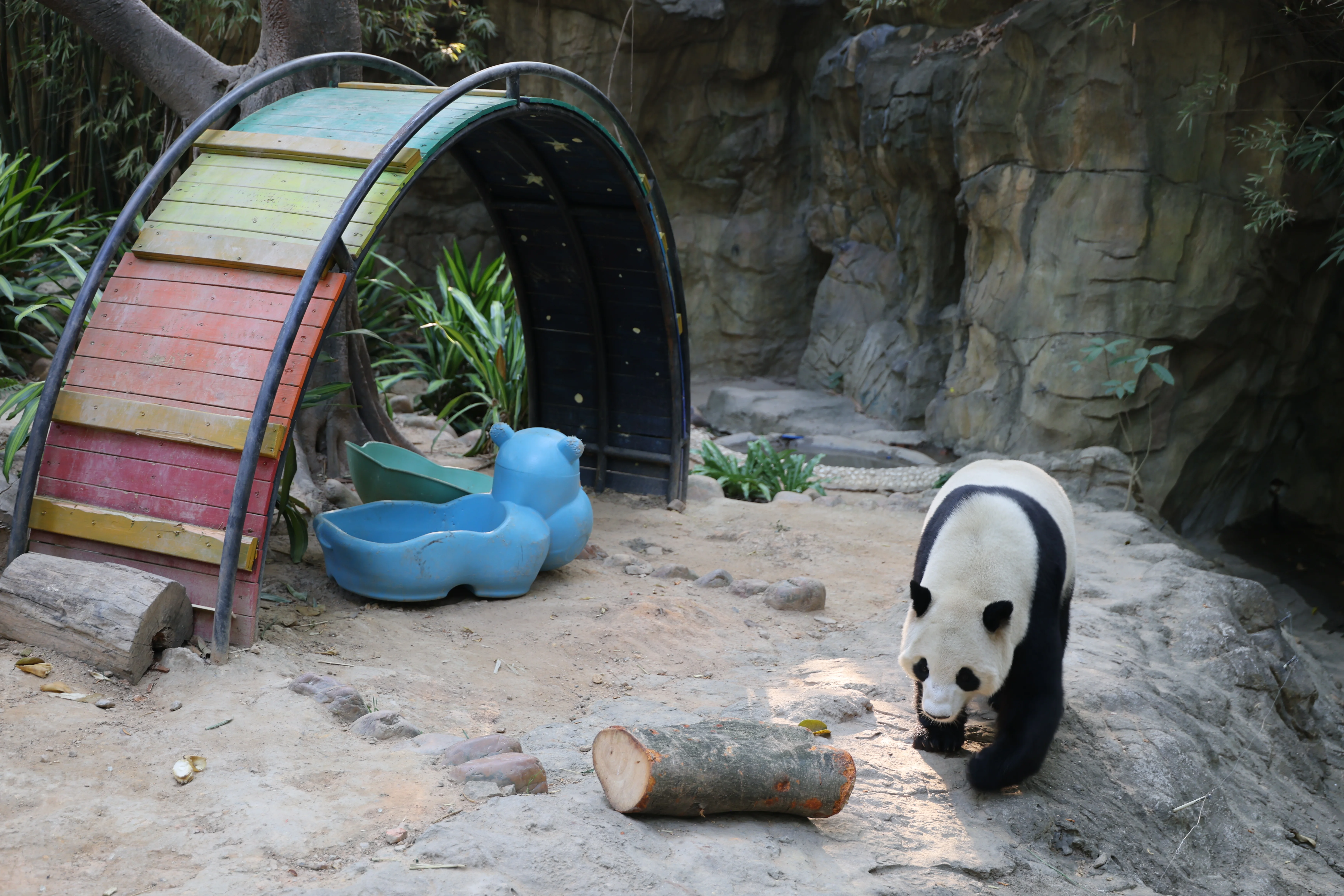 Chimelong Safari Park