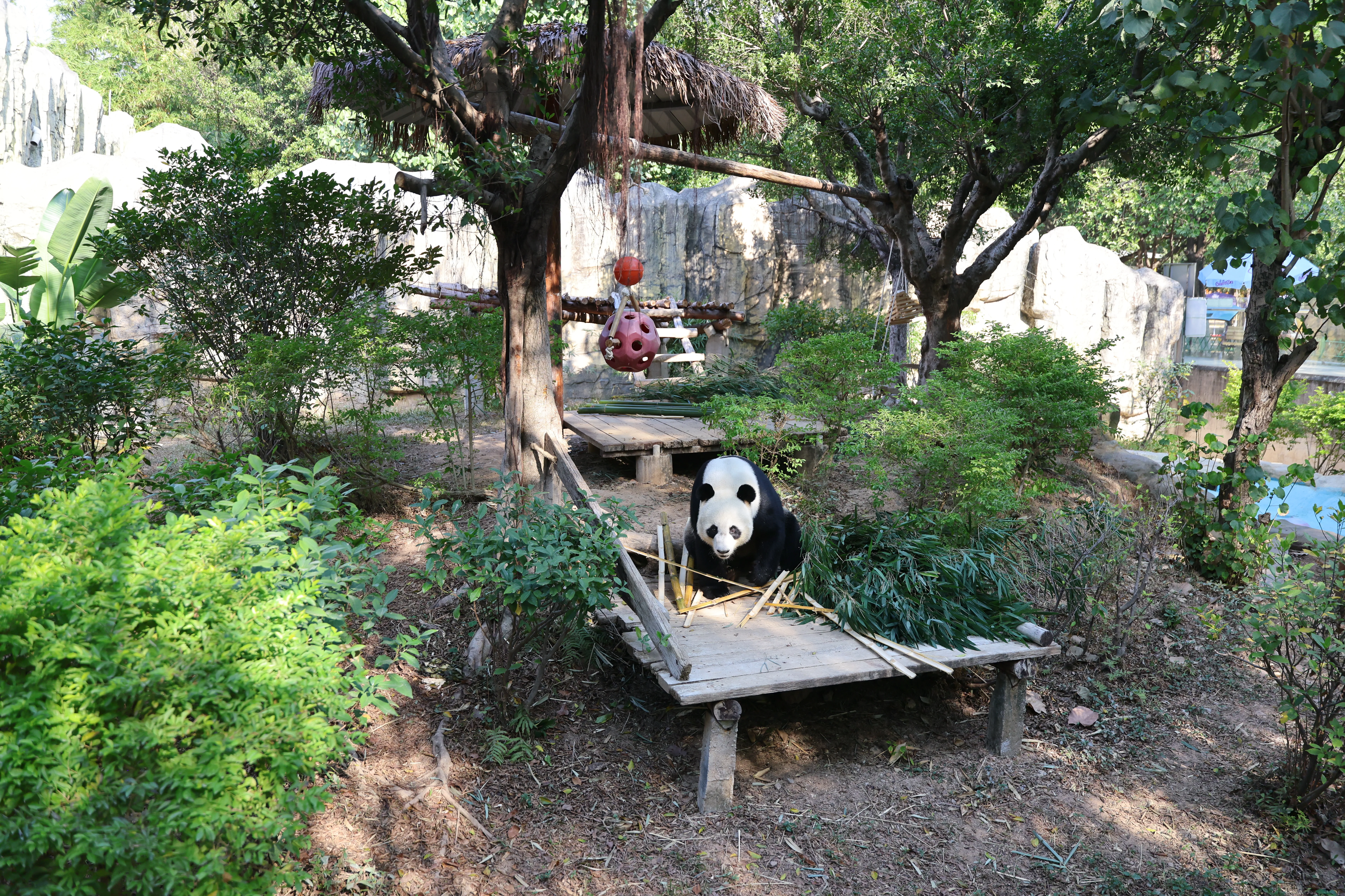 Dongguan Xiangshi Zoo