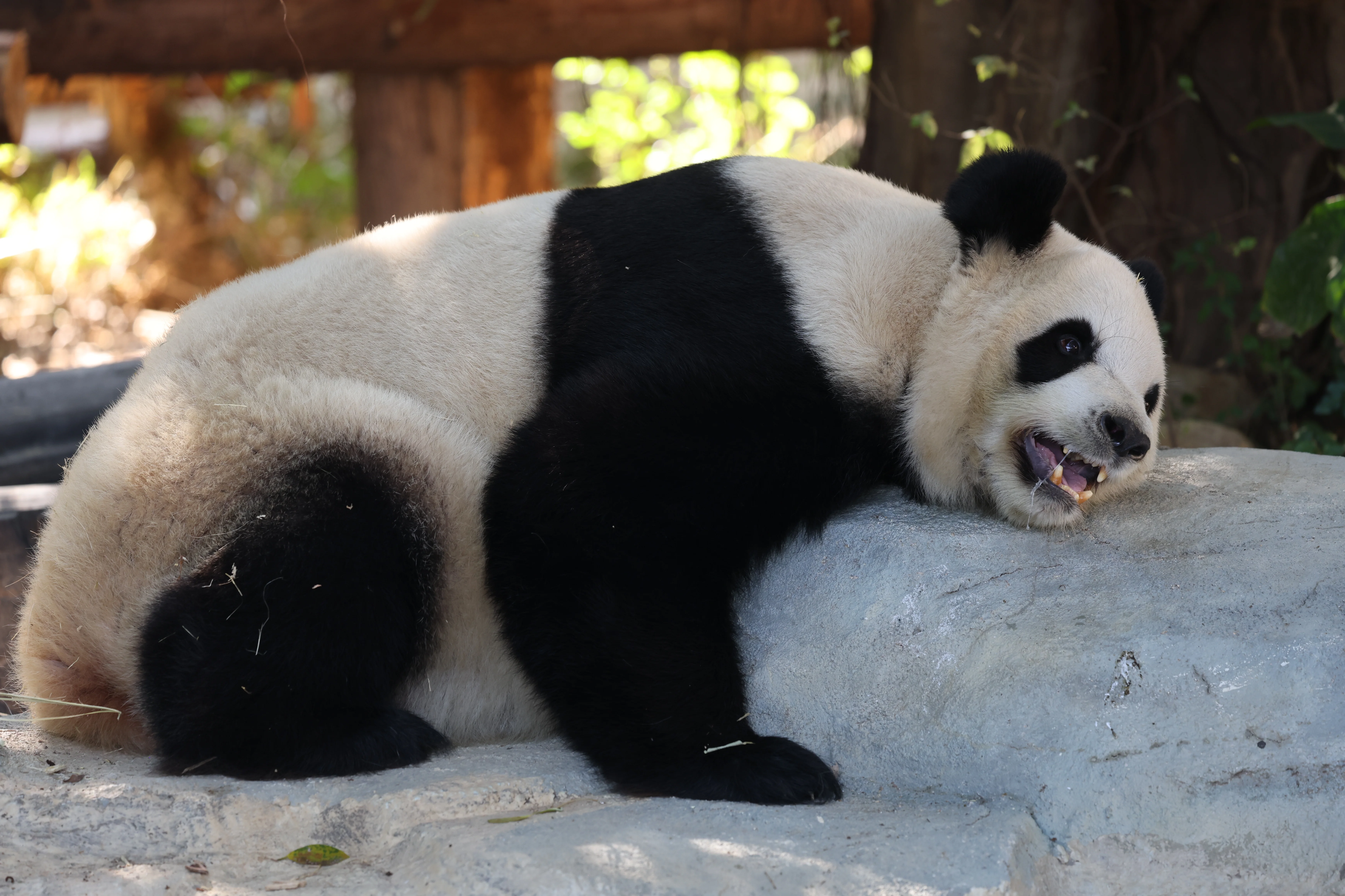 Quanzhou Haisi Safari Park