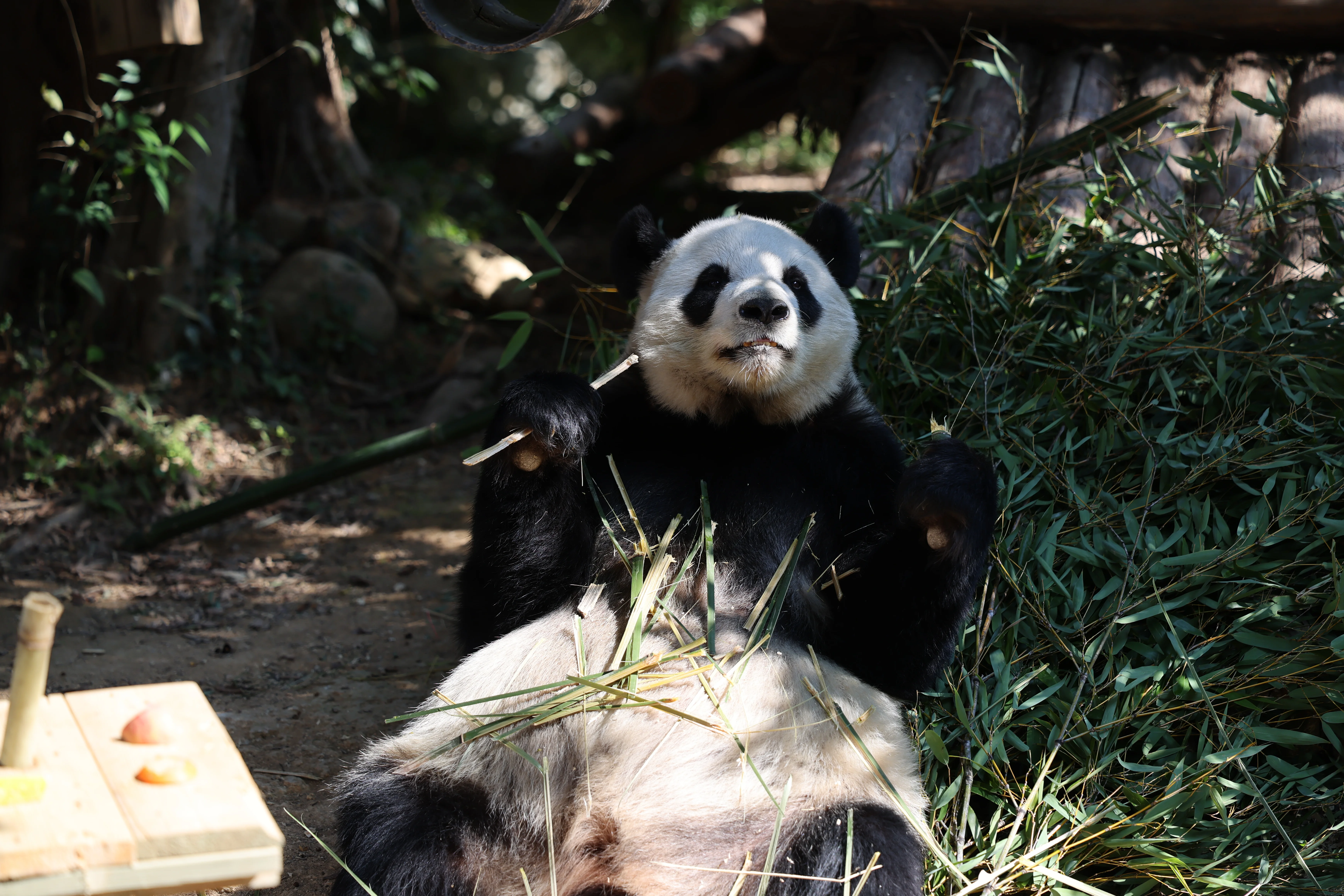 Quanzhou Haisi Safari Park