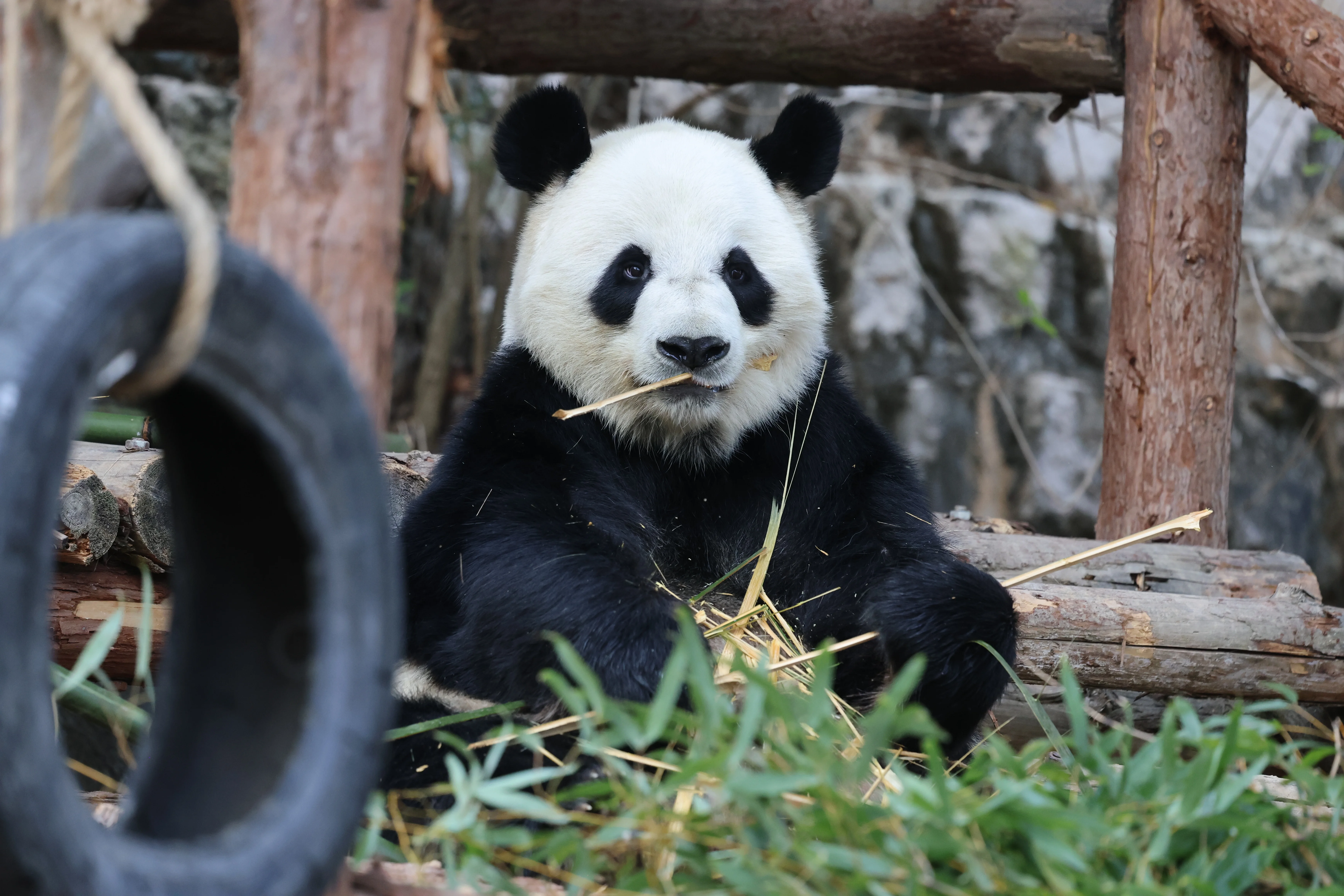 Quanzhou Haisi Safari Park