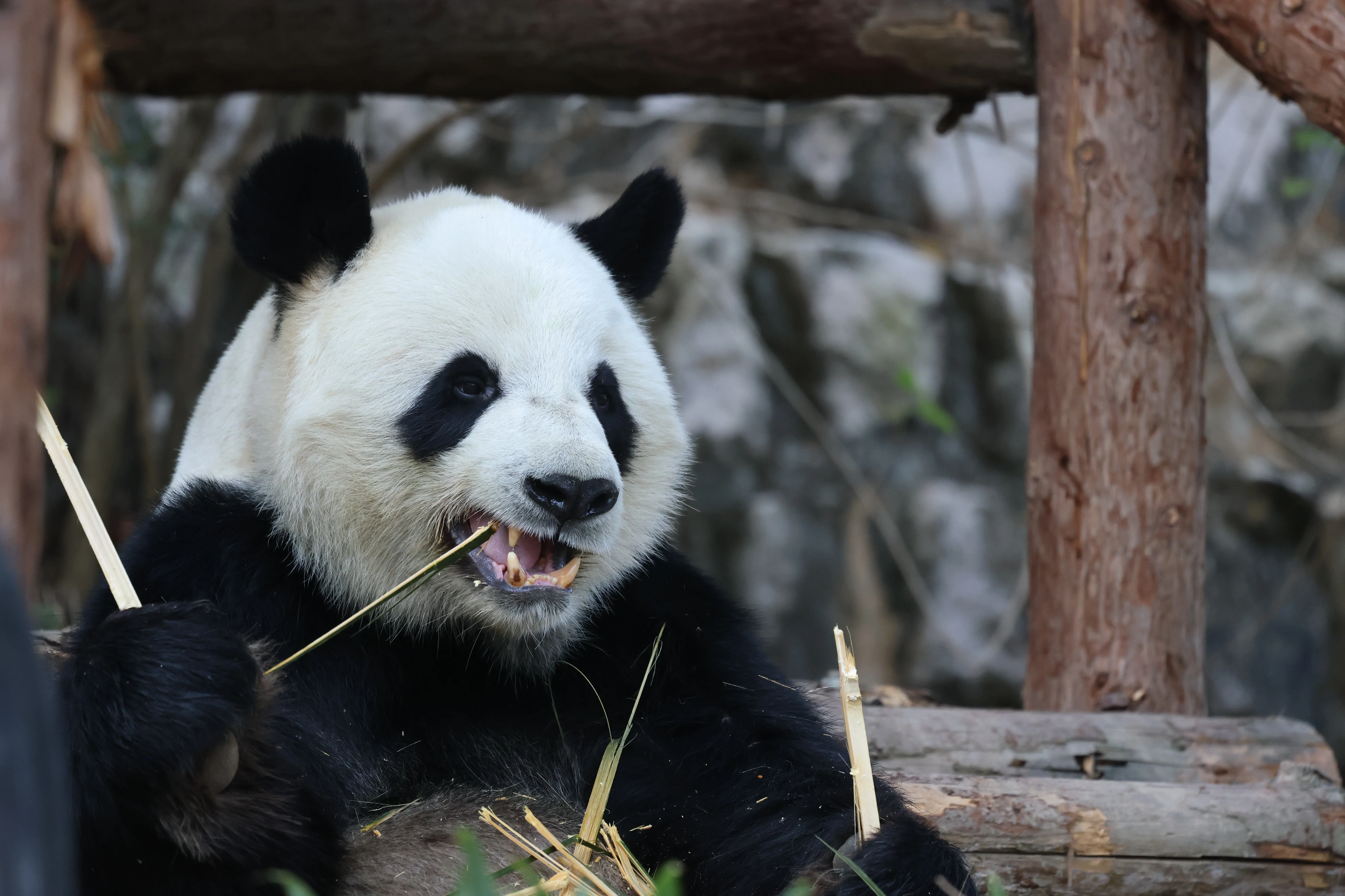 Quanzhou Haisi Safari Park