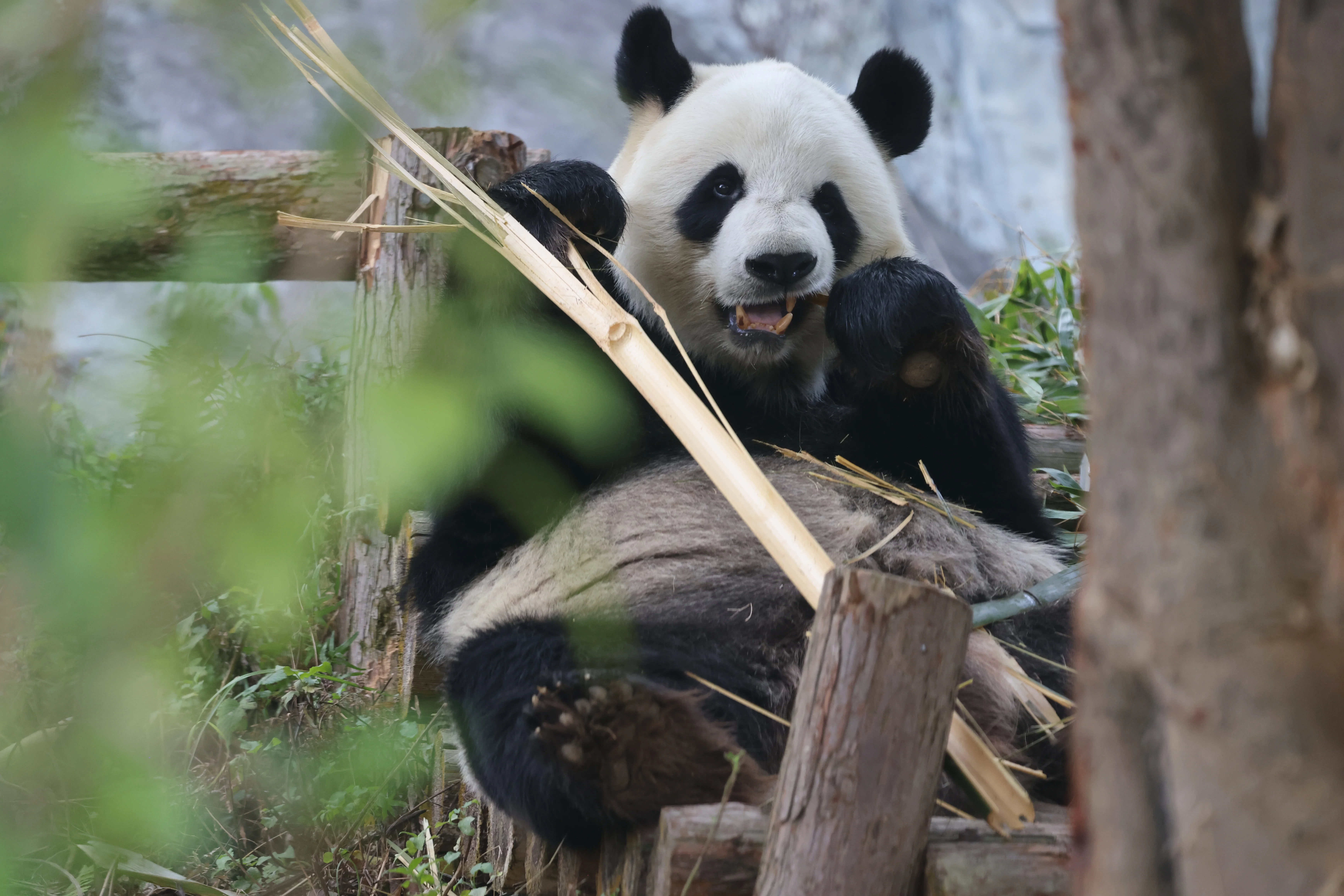 Quanzhou Haisi Safari Park