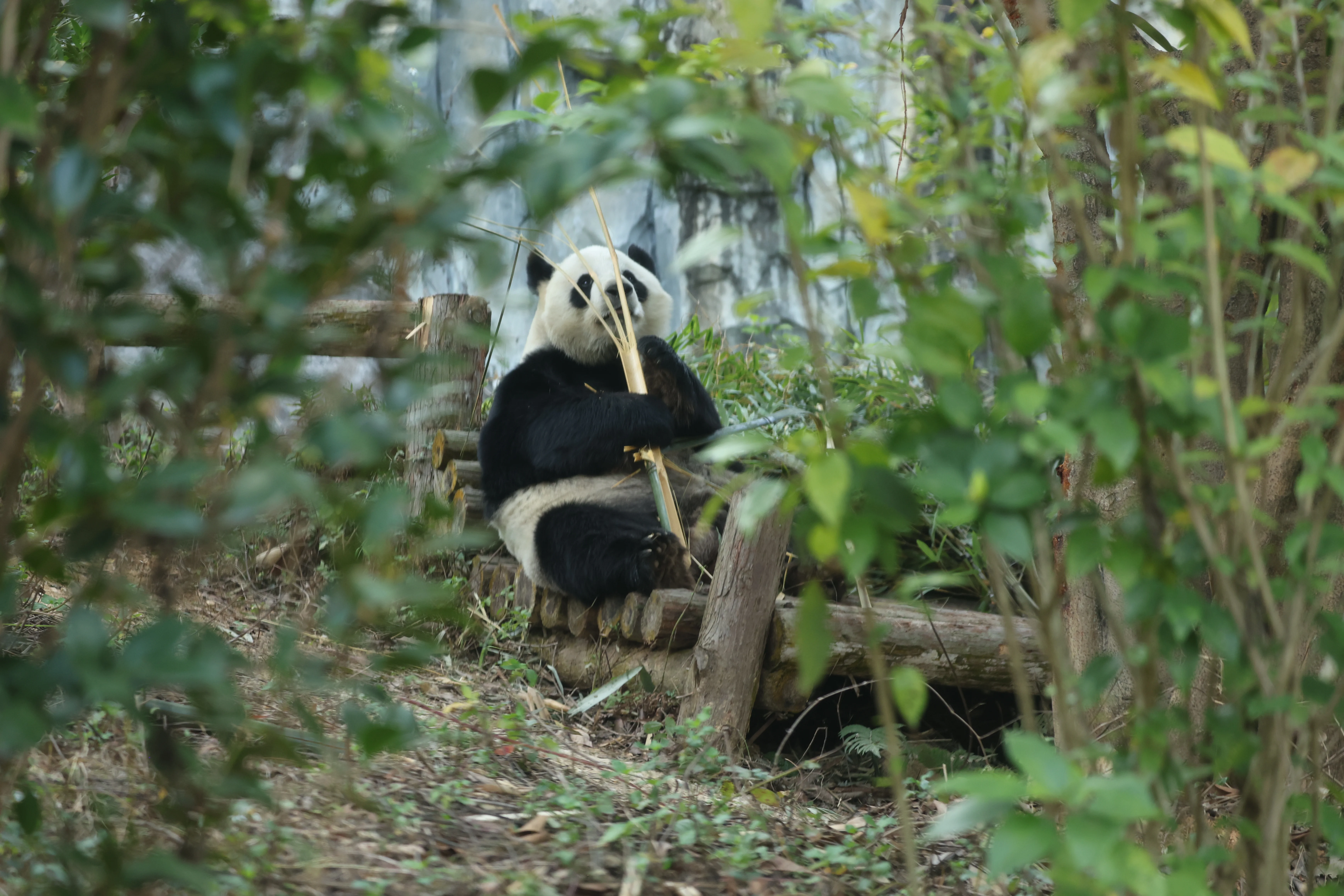 Quanzhou Haisi Safari Park