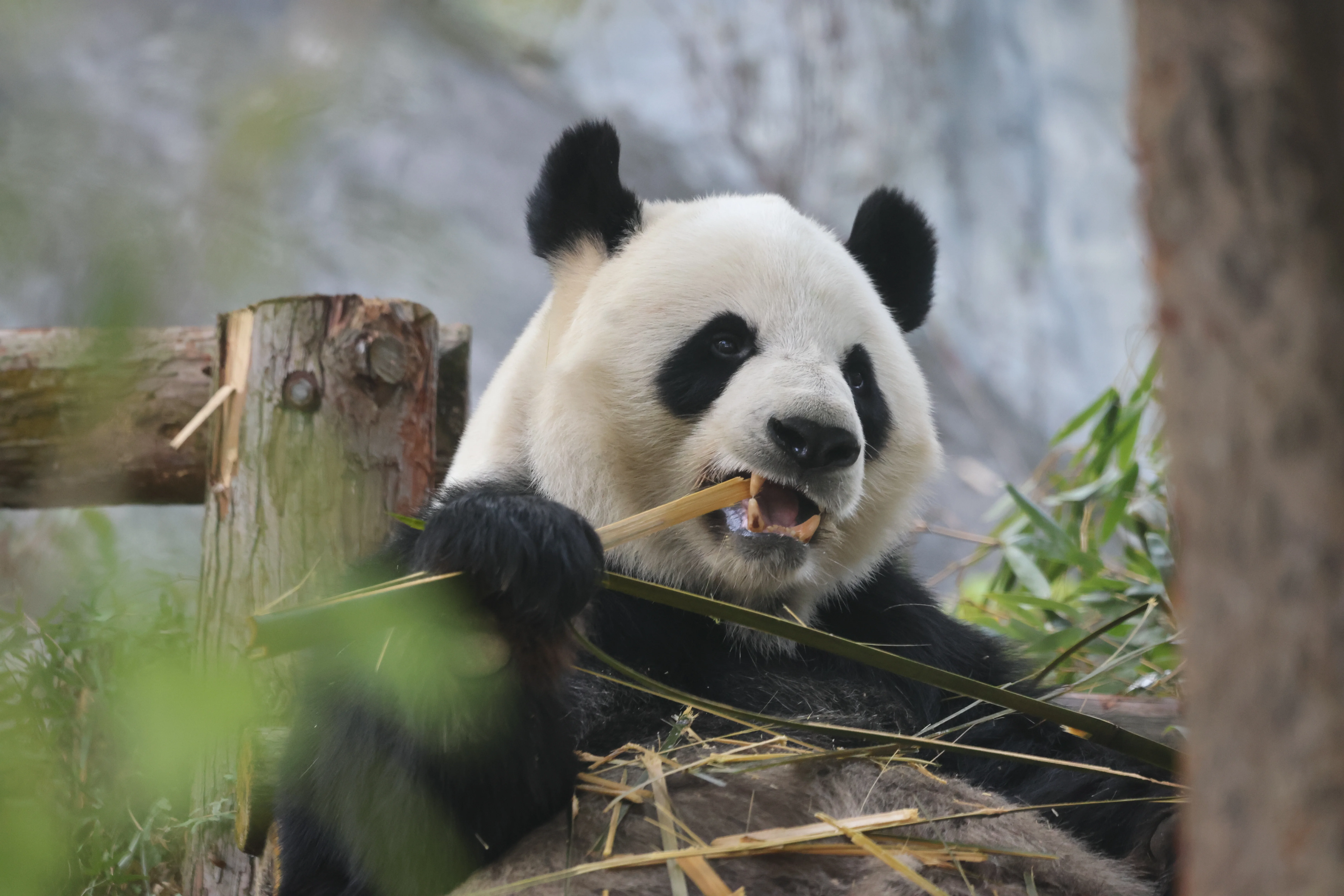 Quanzhou Haisi Safari Park