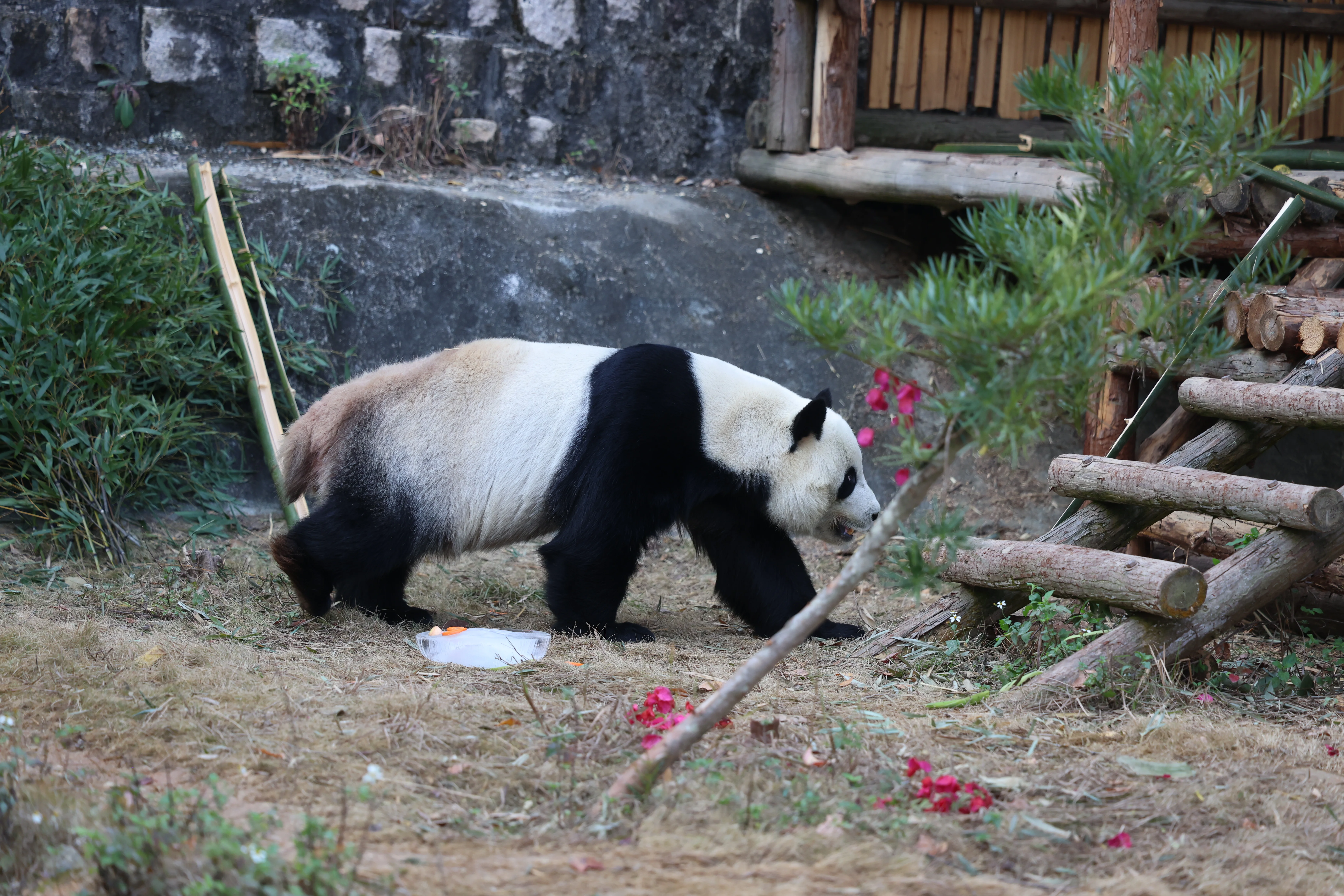 Quanzhou Haisi Safari Park