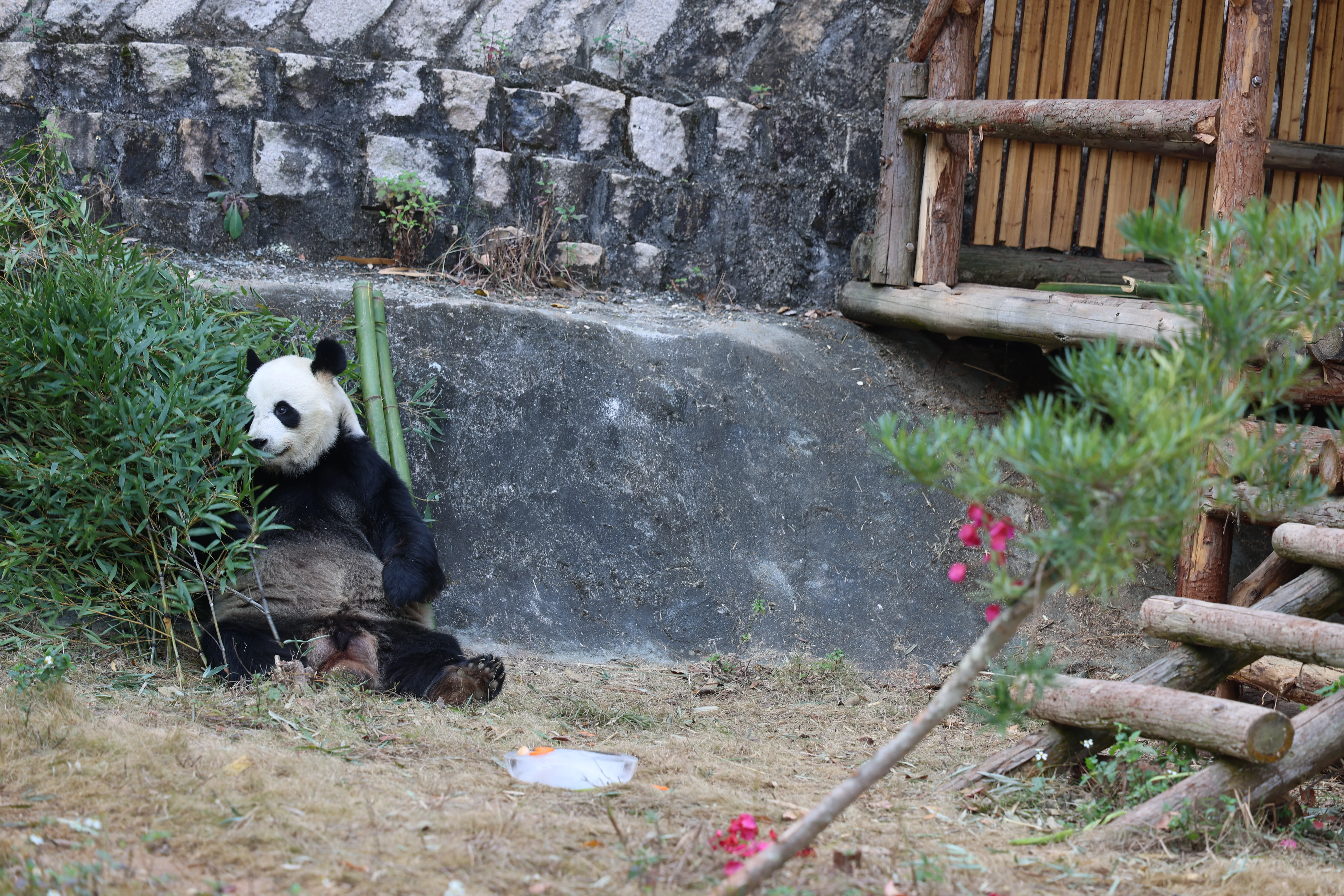 Quanzhou Haisi Safari Park