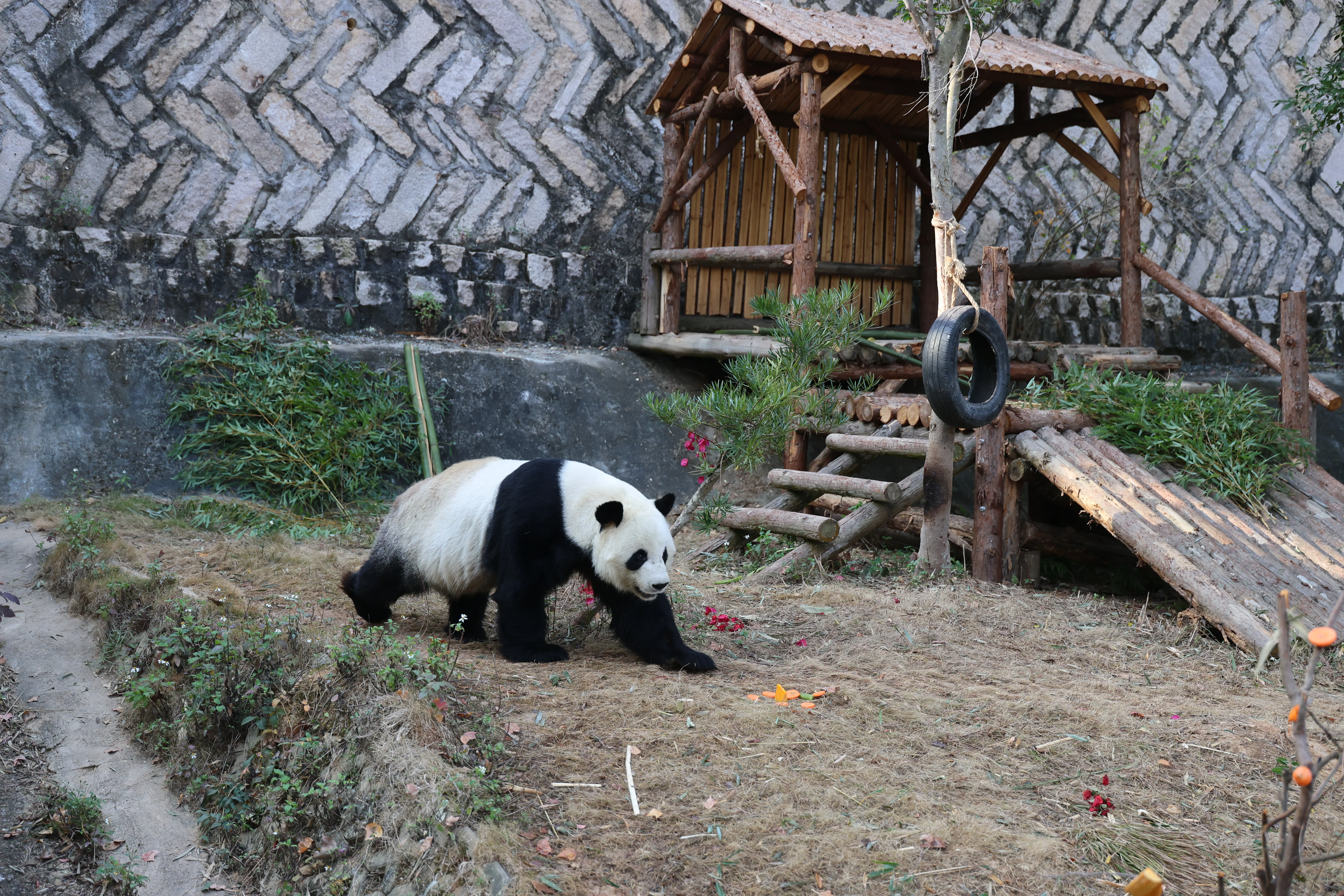 Quanzhou Haisi Safari Park