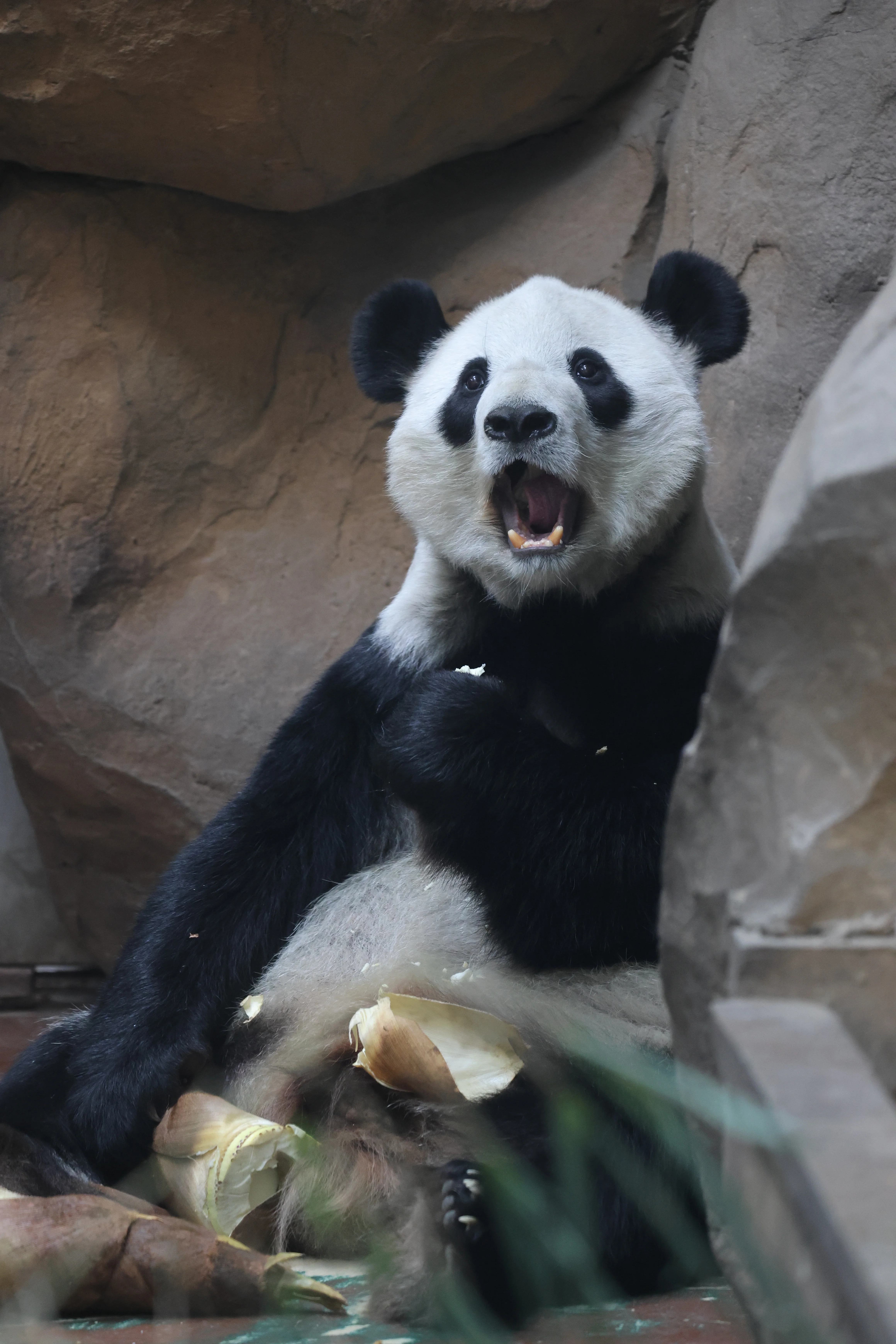 Chengdu Zoo