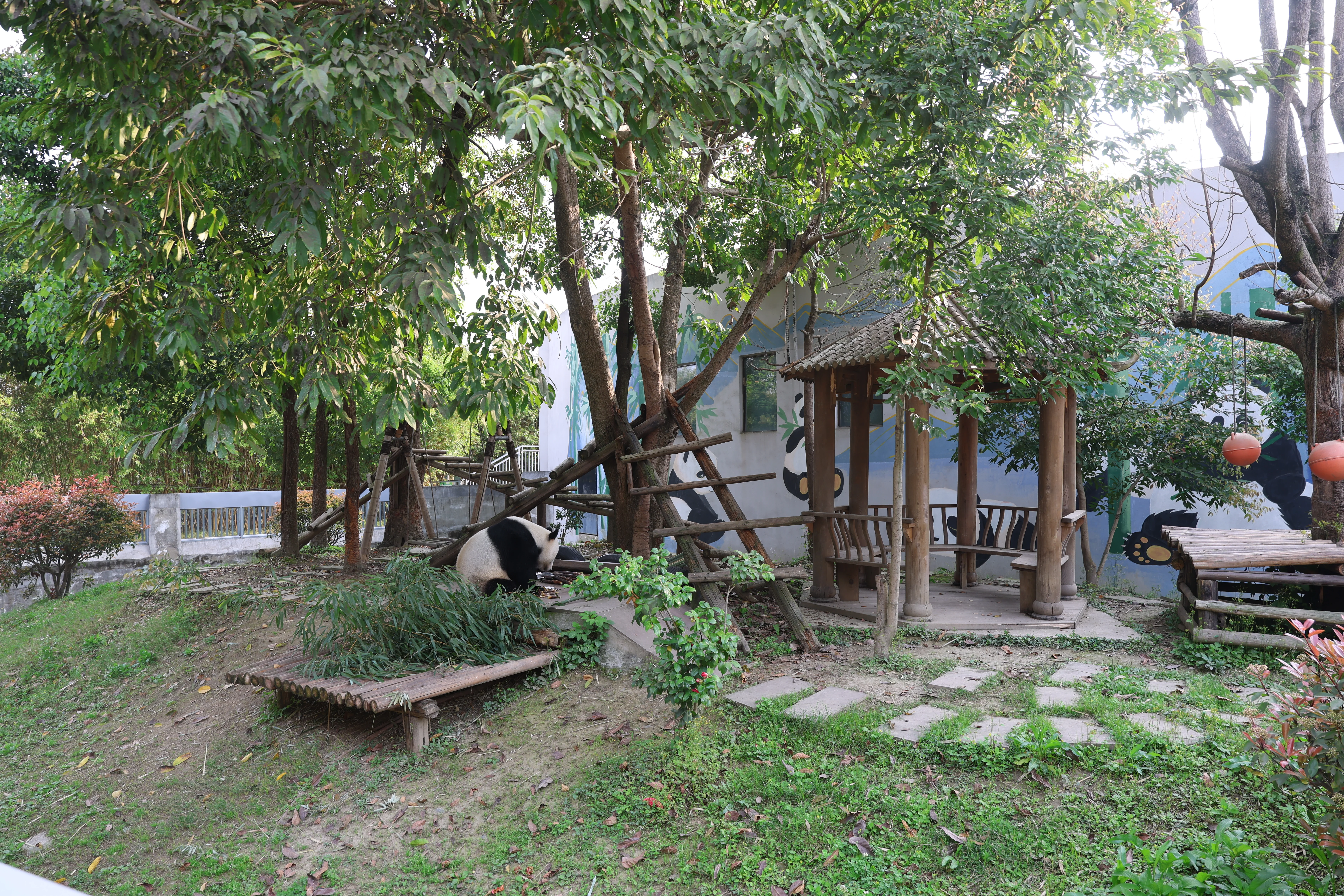 China Bamboo Art City