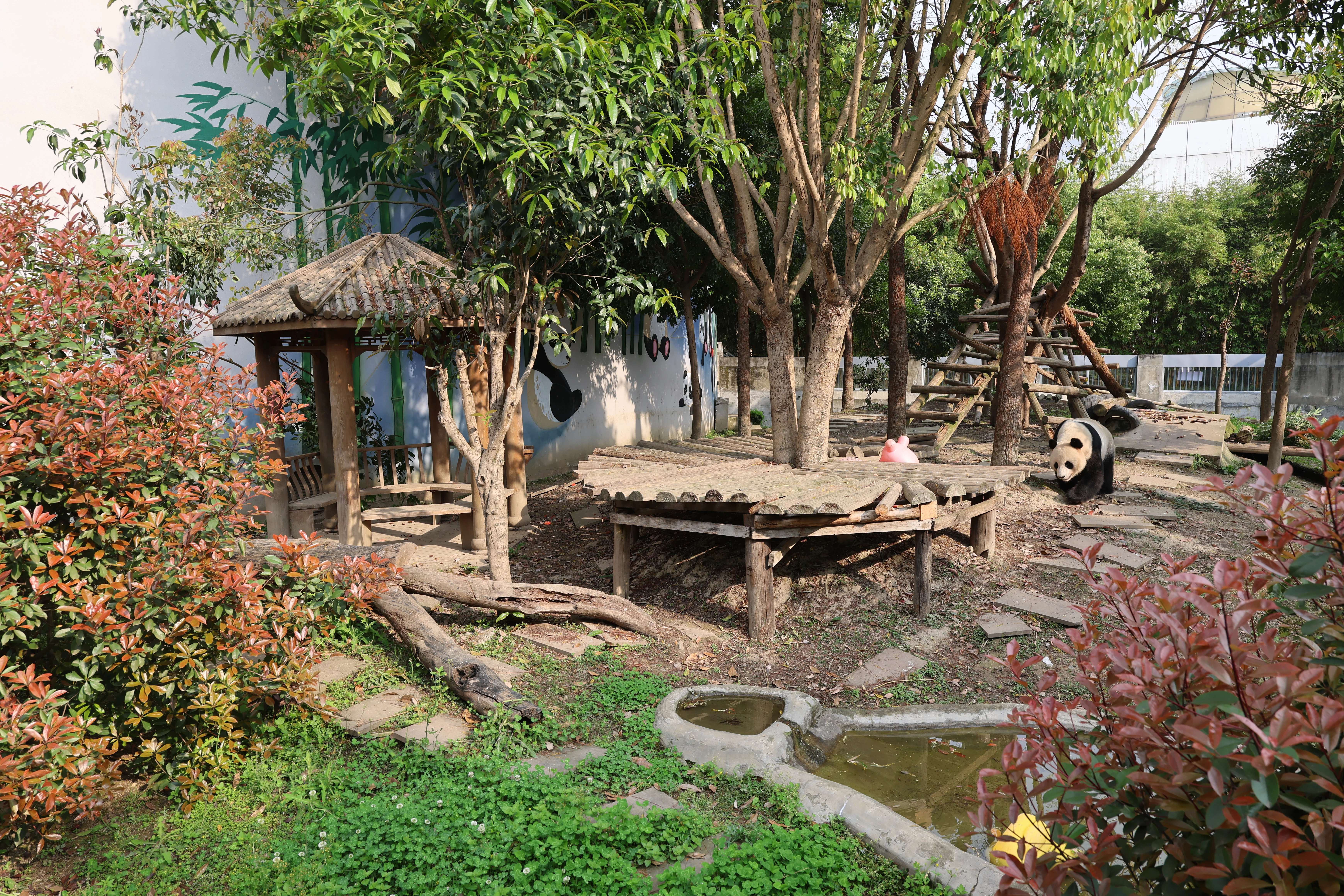 China Bamboo Art City