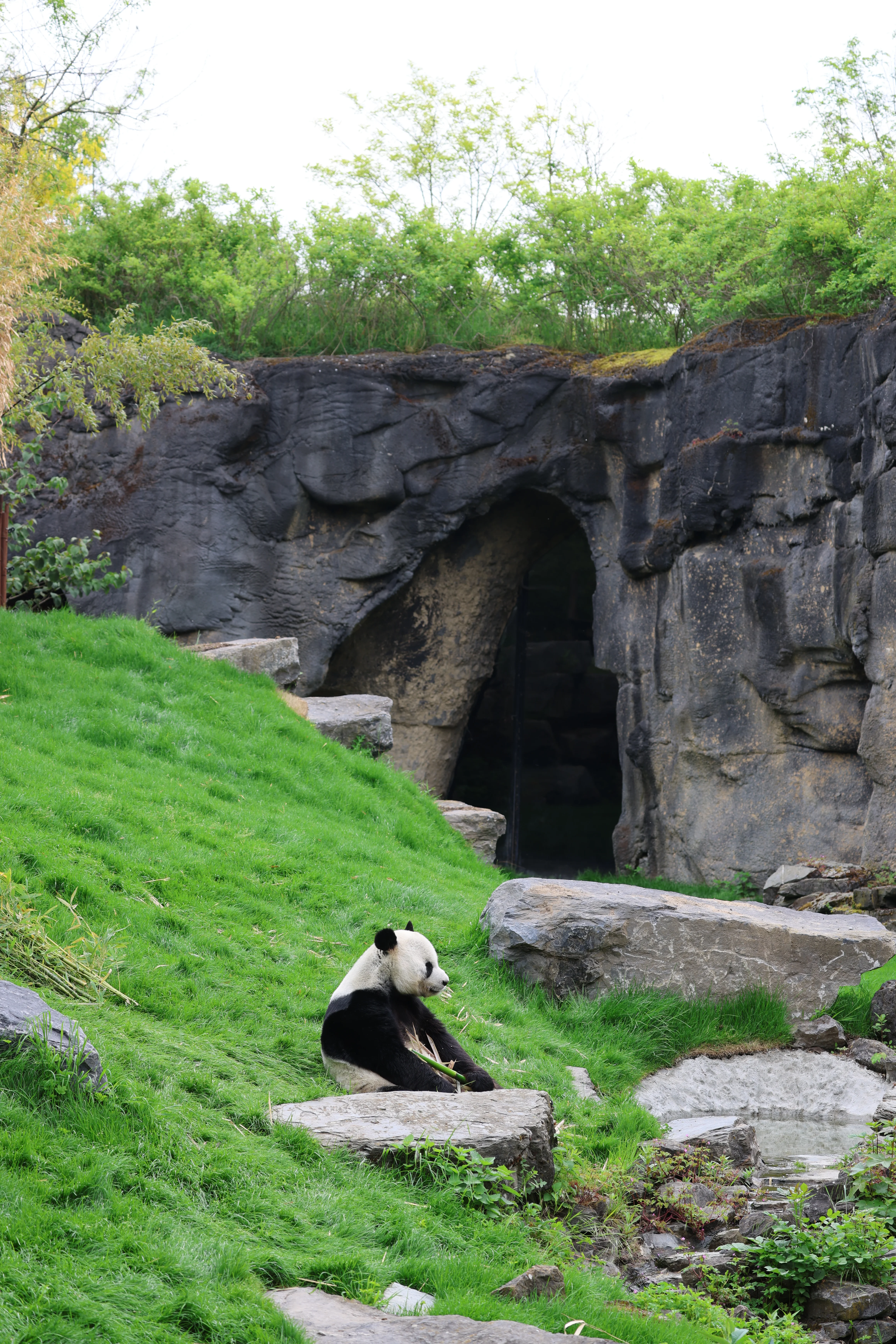 Pairi Daiza